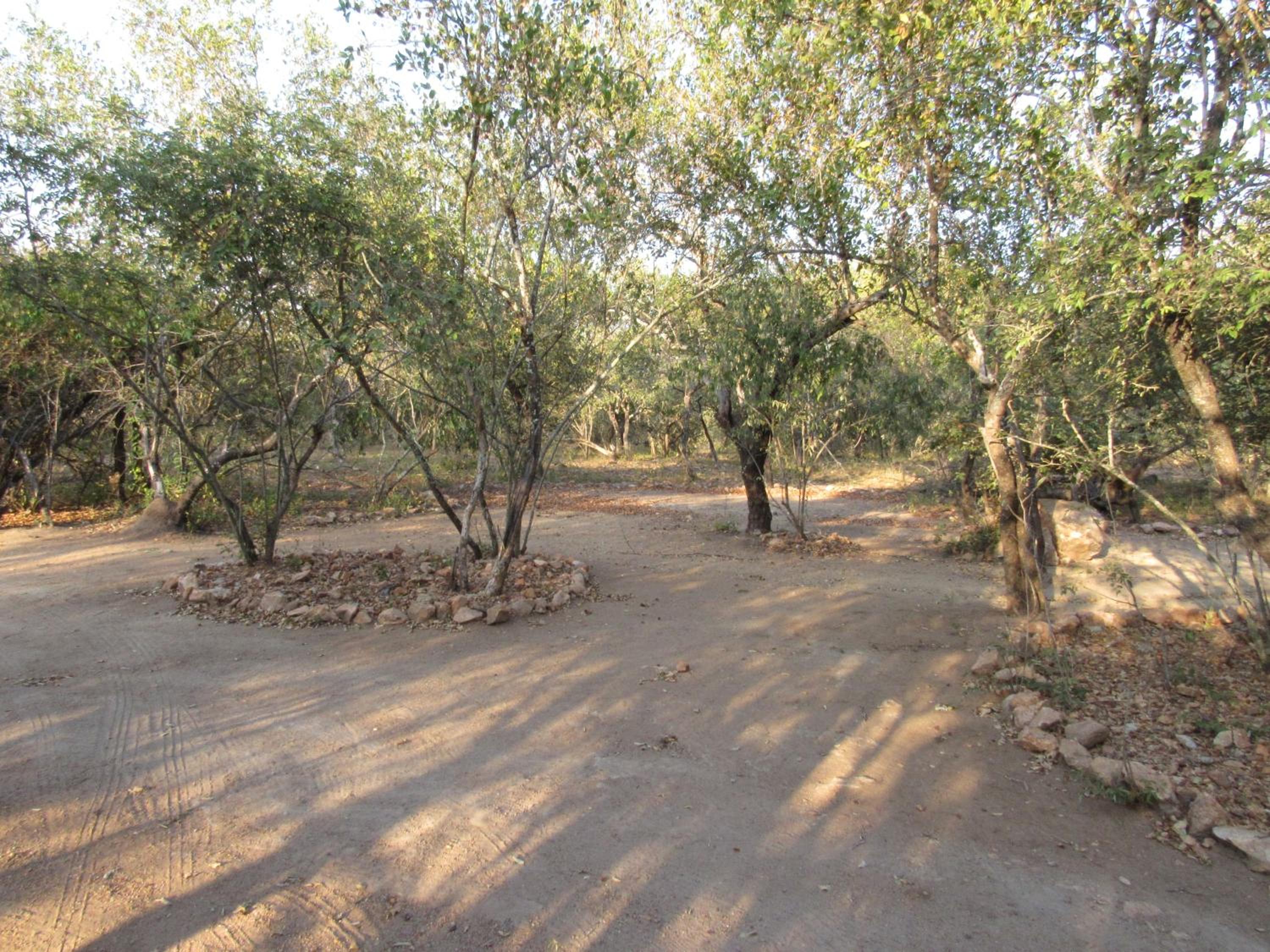 Photo 42