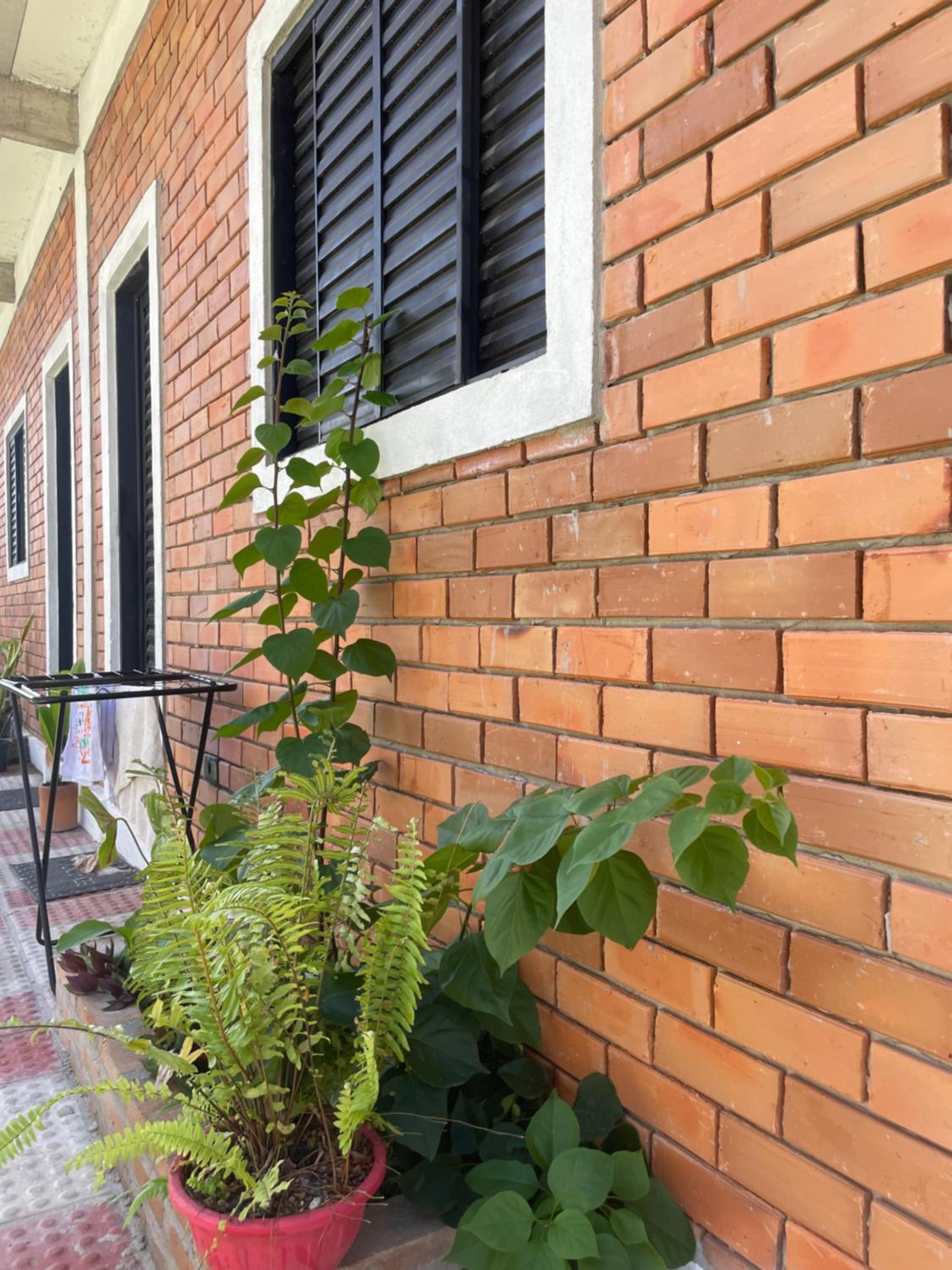 Loft Menezes Olinda