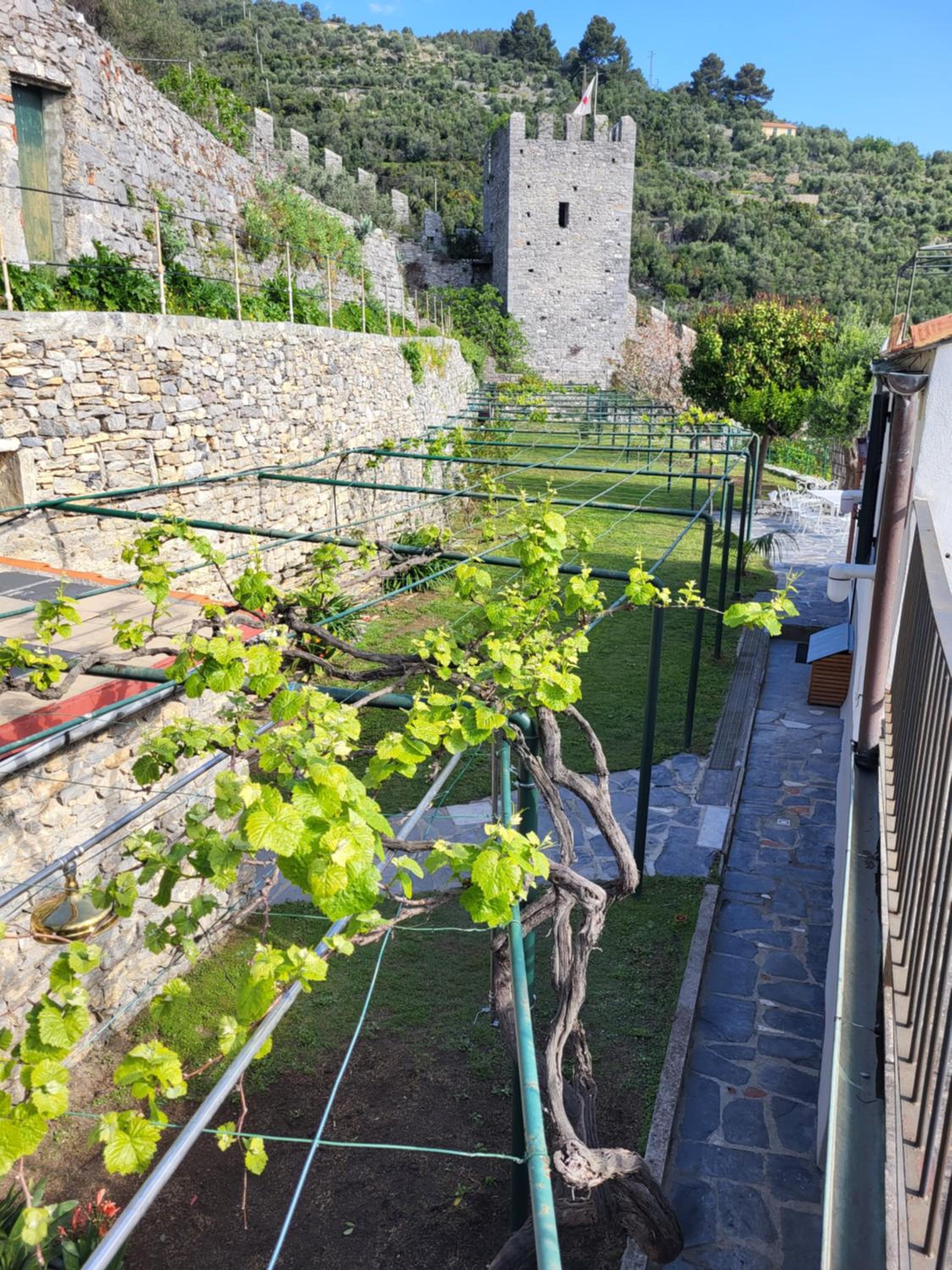 La BouganVilla photo 3