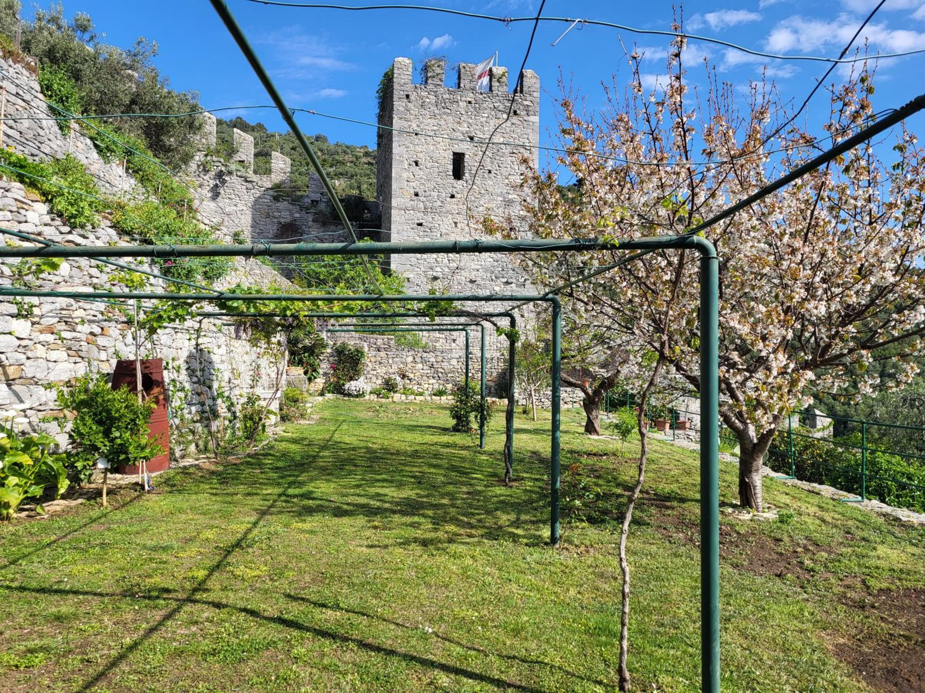 La BouganVilla photo 5