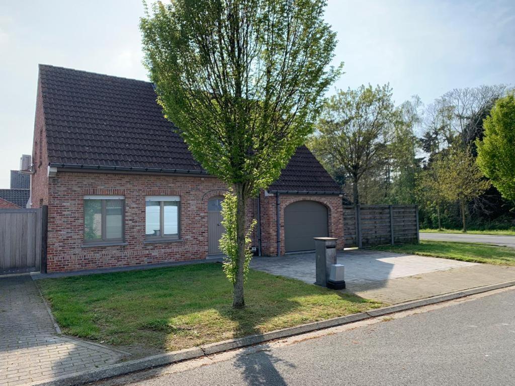Het vogelnestje