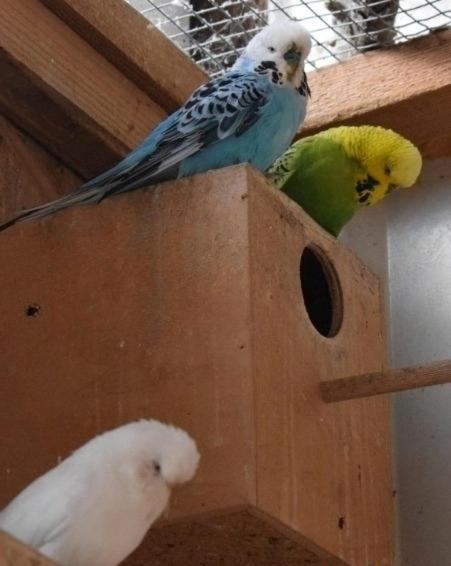 Photo 26