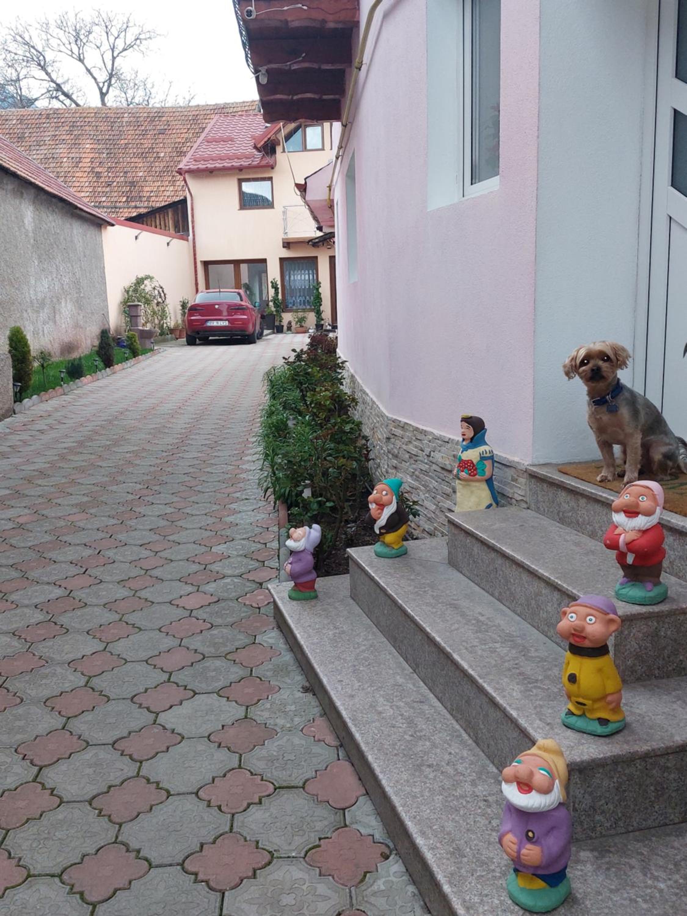 Maria's Dream House