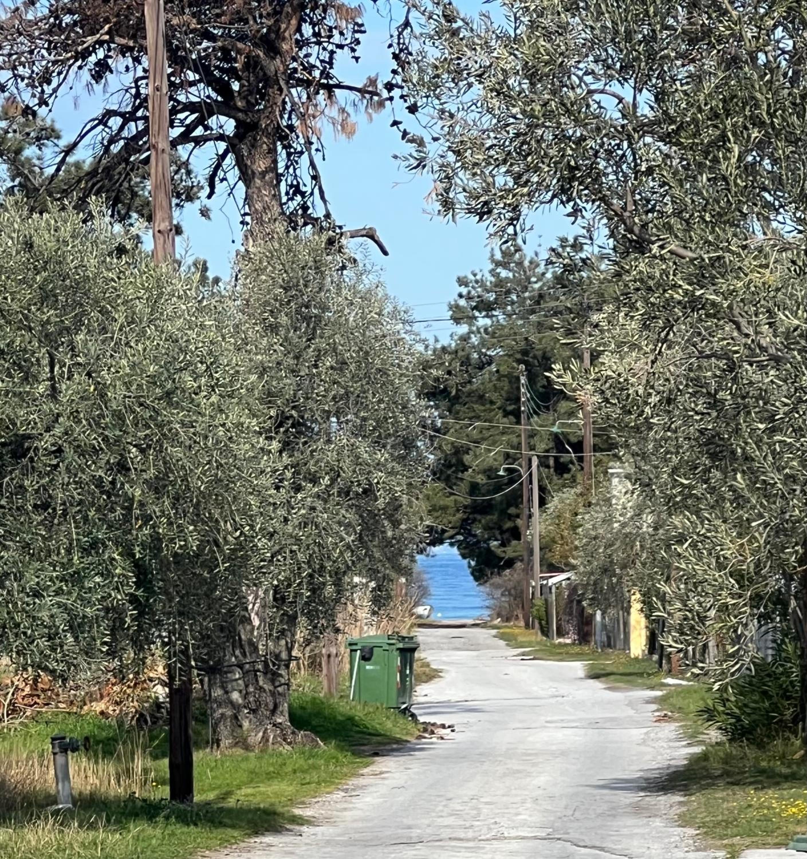 Villa Calypso