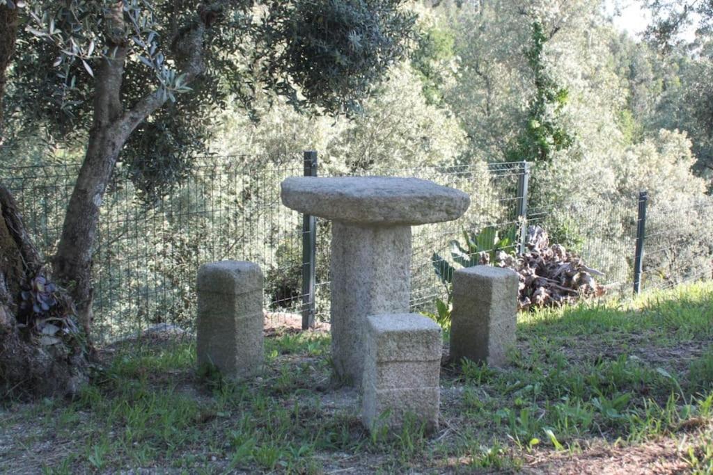 Photo 35