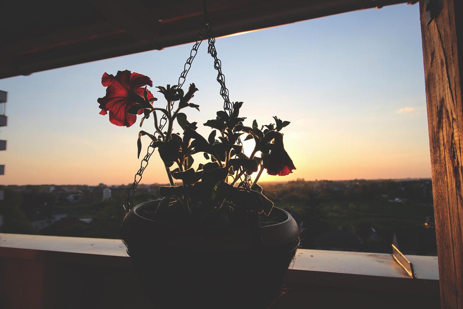 TOP Room view 5