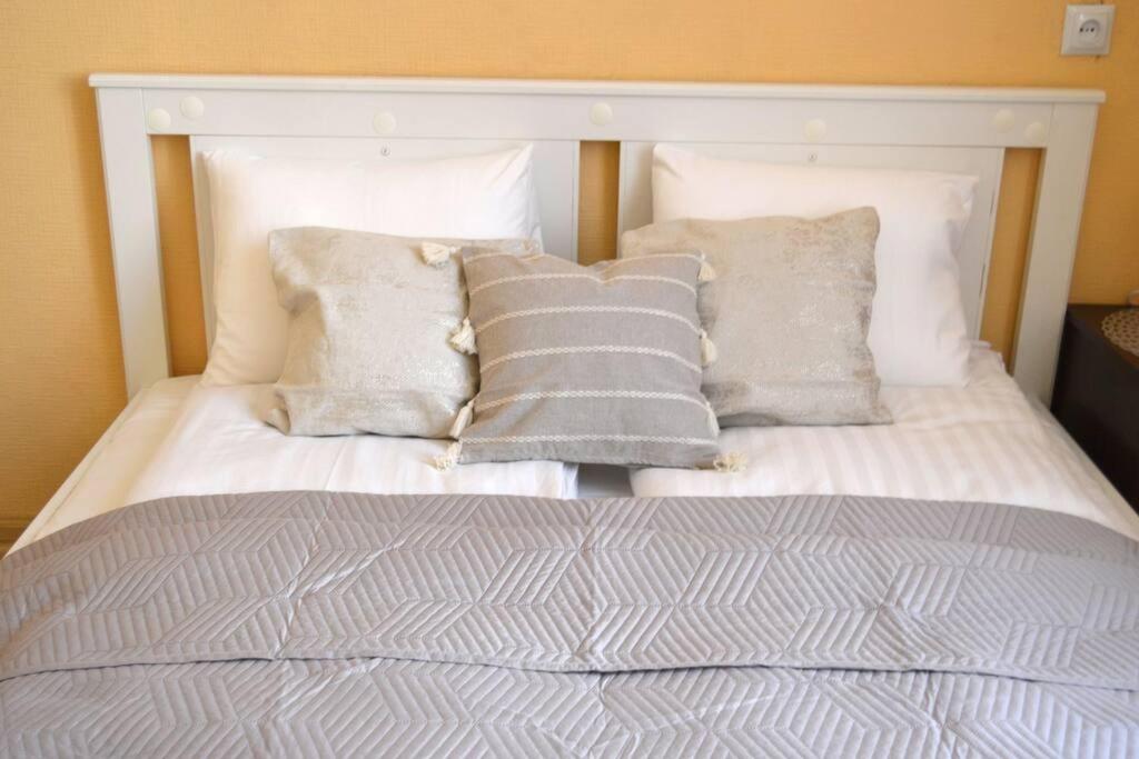 Spacious Old Town Family & Friends Peachy Two bedrooms Apartment, Nearby the Riga Presidential Castle