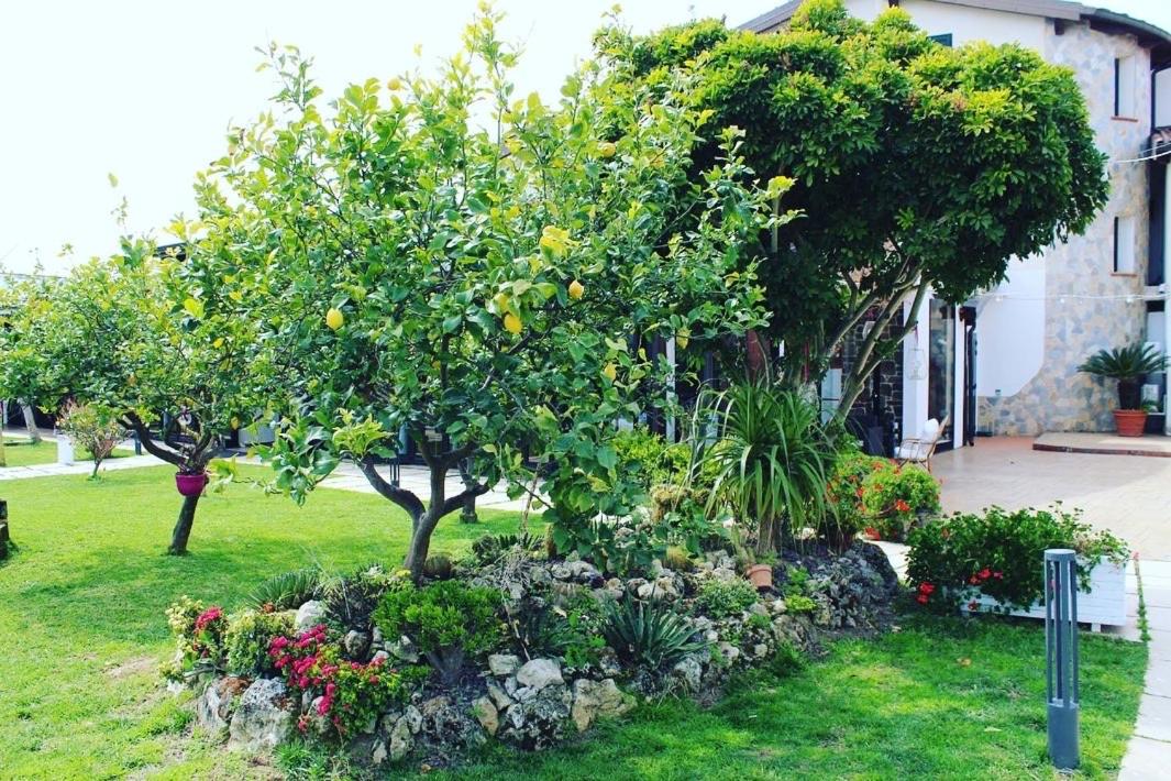 Agriturismo Manitta