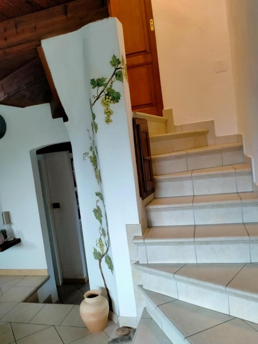 Casa Armas view 2