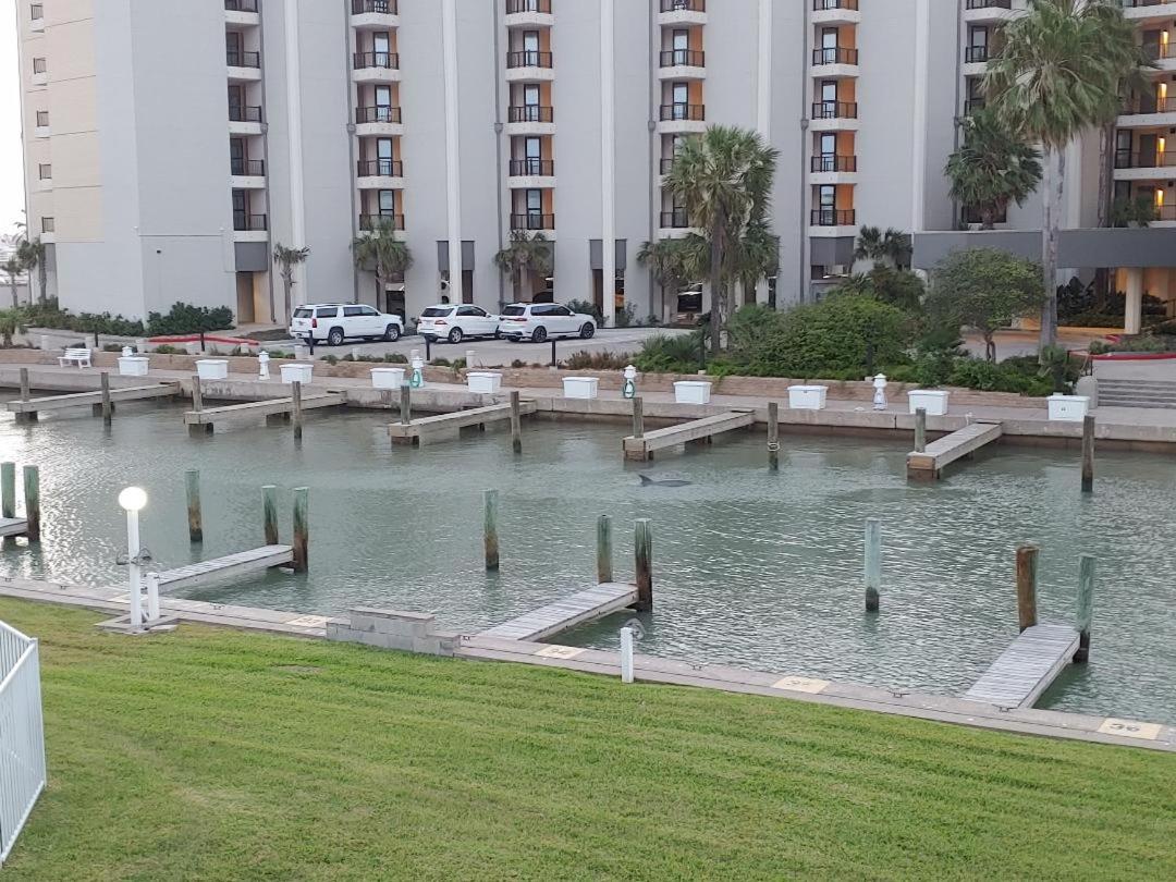Bay Tree C1 view 5