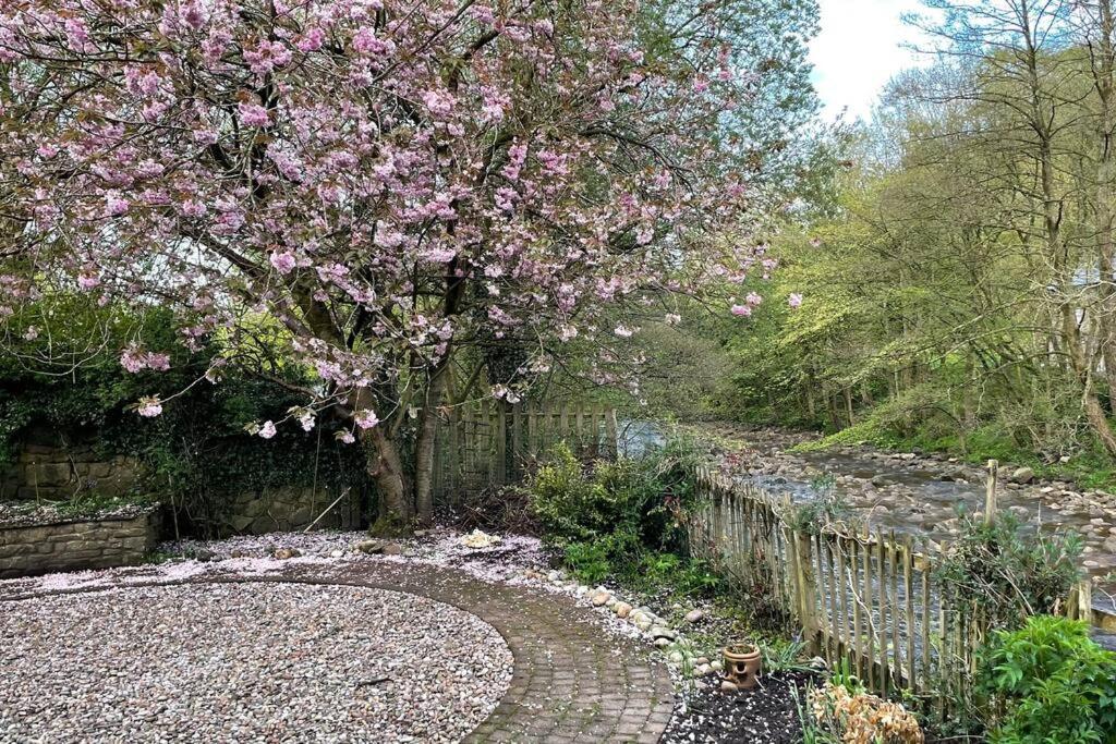 The Riverside Tailor's Retreat at Wray view 4