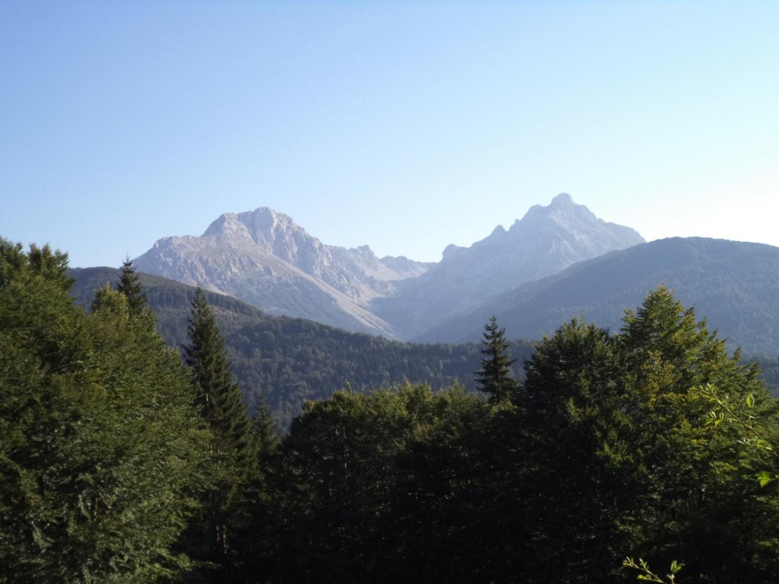 Photo 45