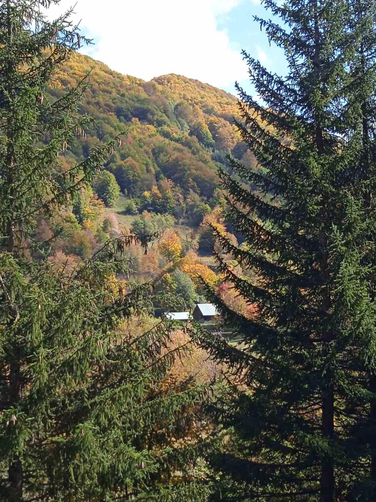 Naša kuća-Veruša view 2