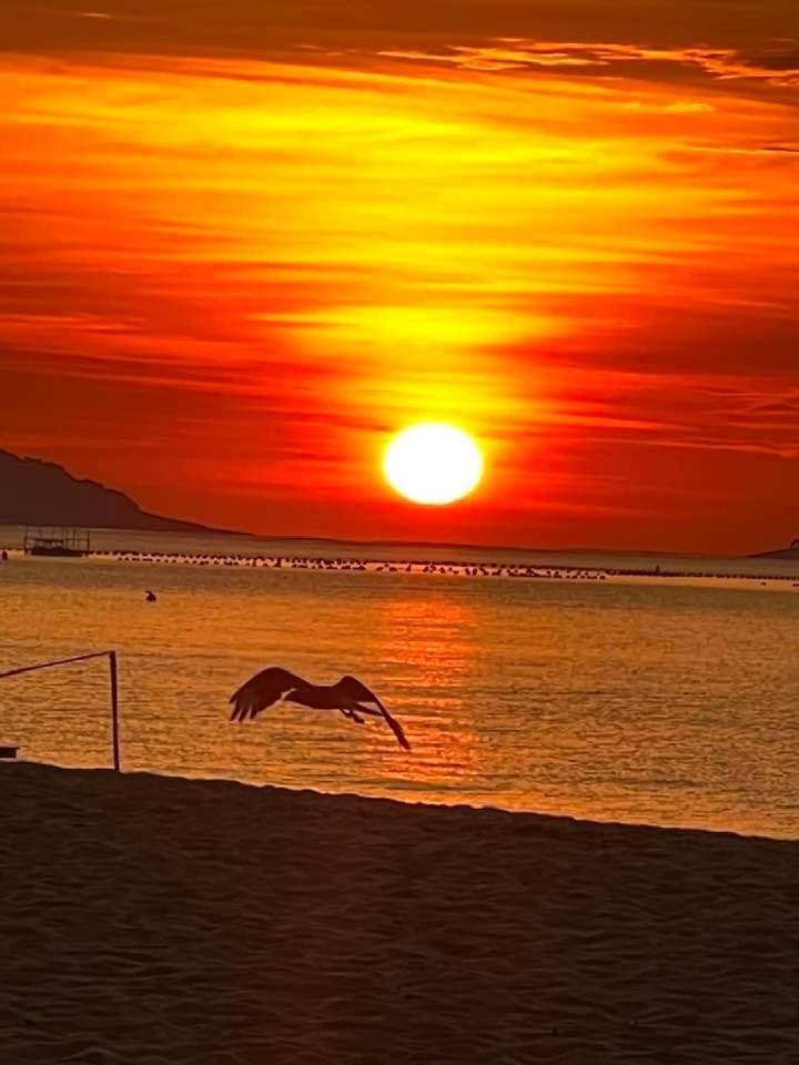 Apartamento clube próximo à praia