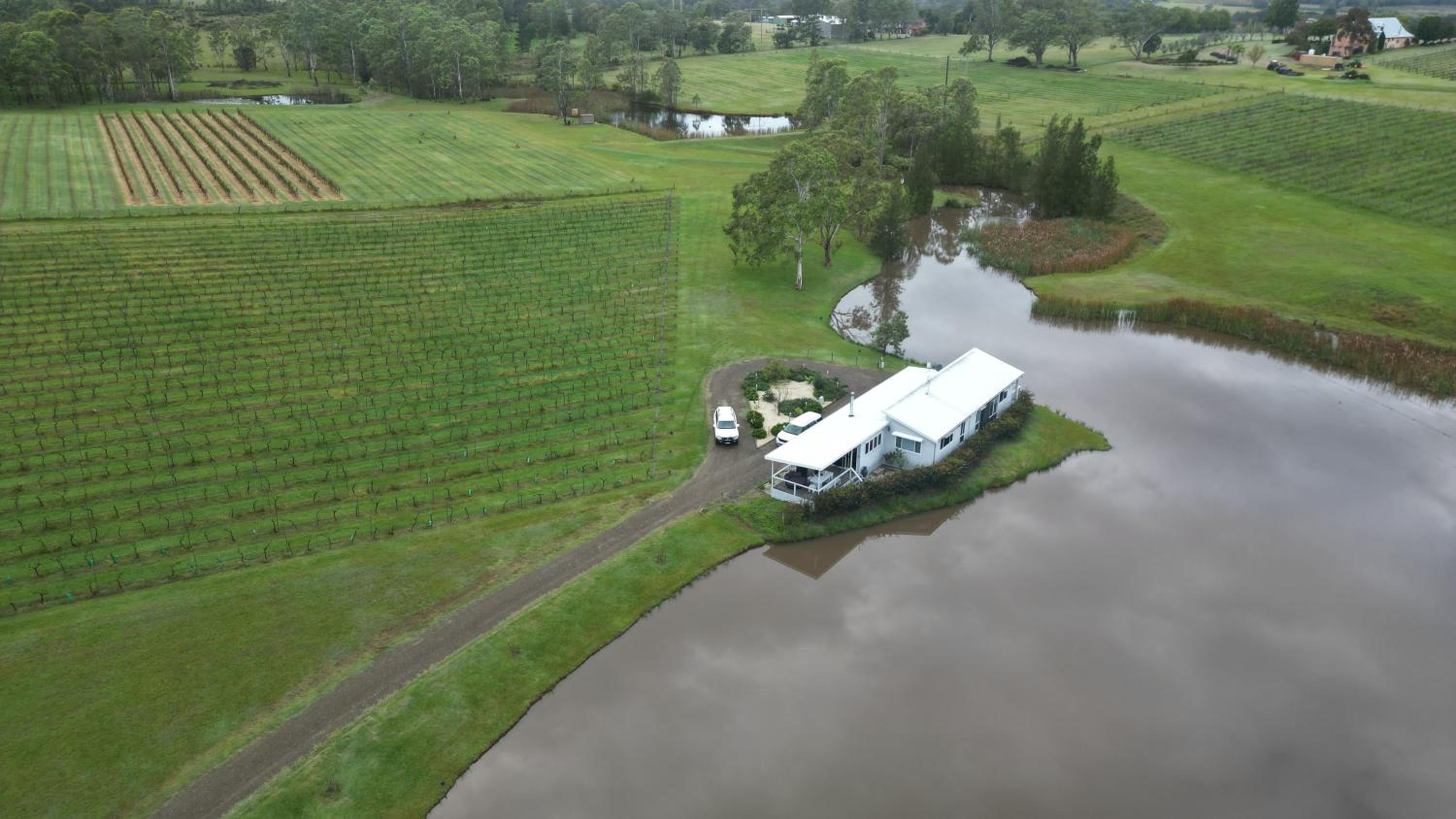 Lovedale Lakehouse Vineyard
