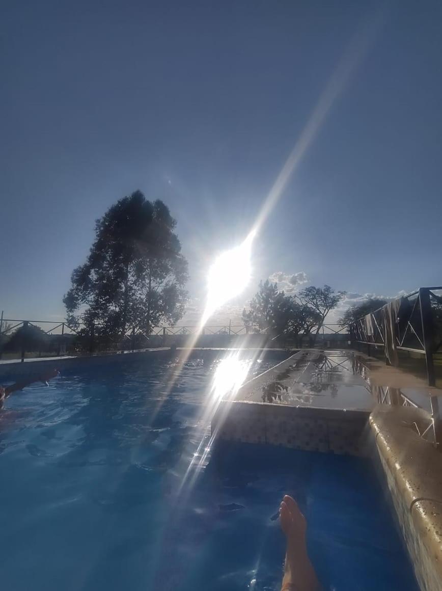 El Desafío