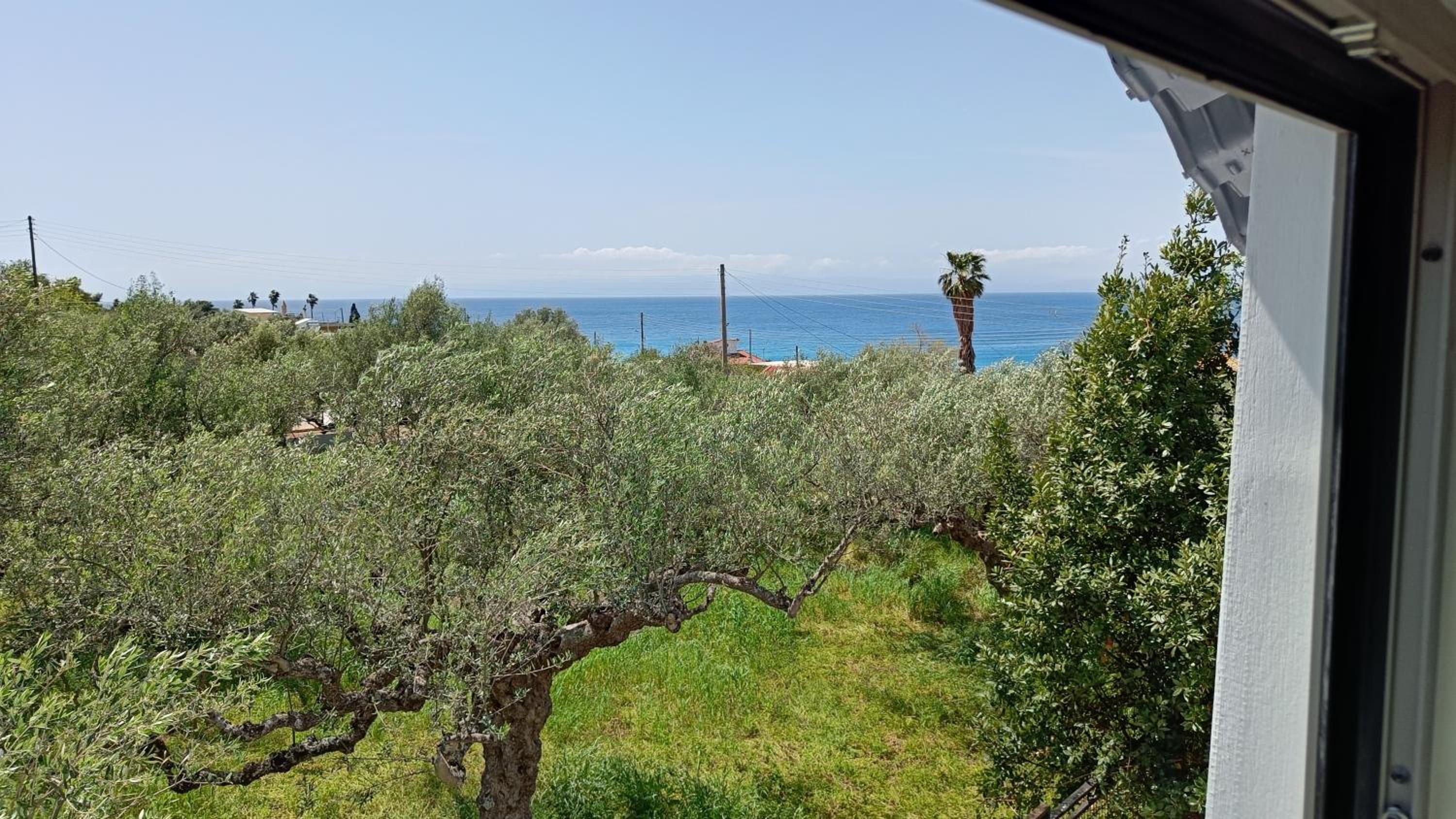 Villa Armonia