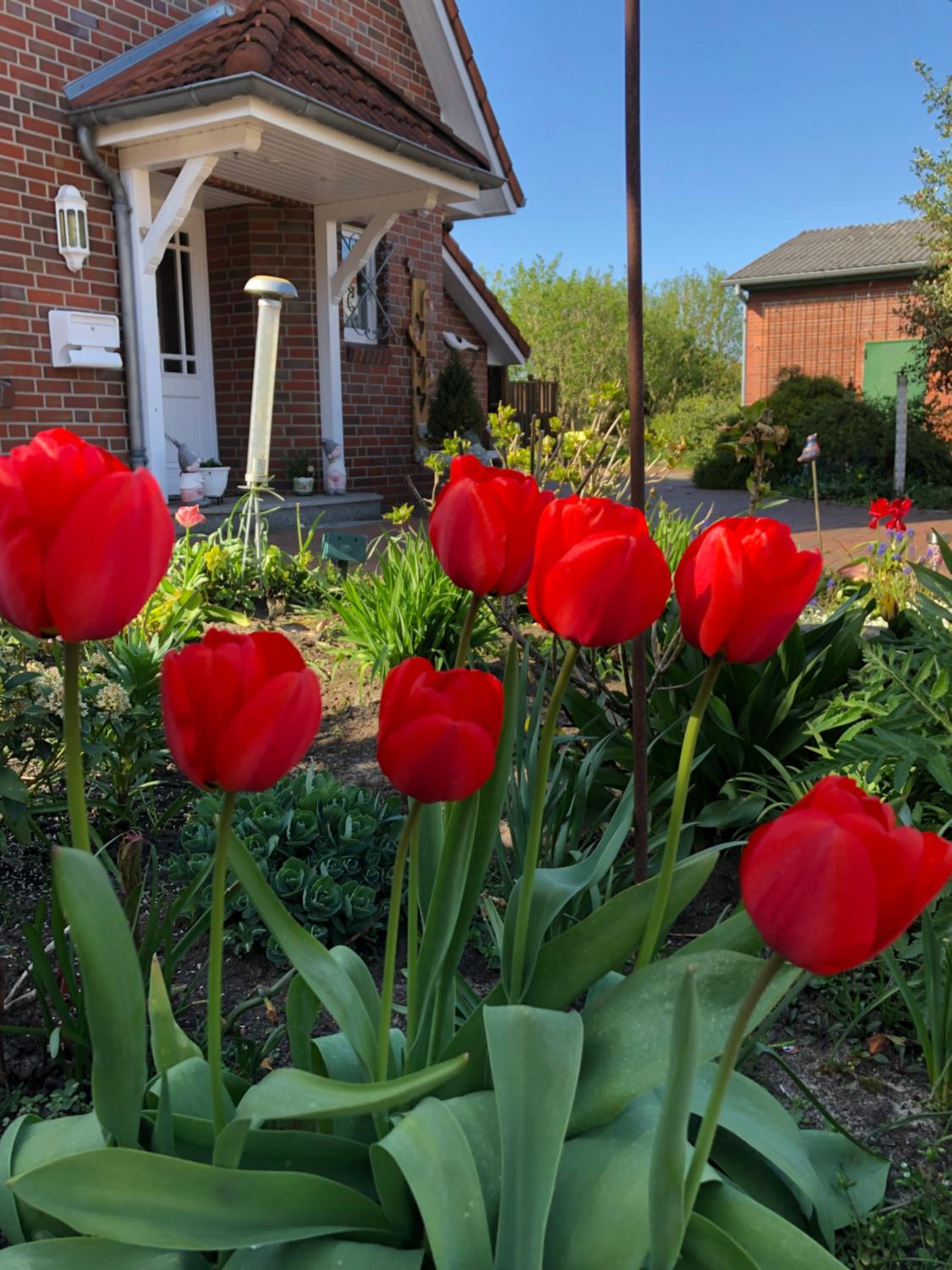 Fewo Obsthof Matthies - Property Image 77