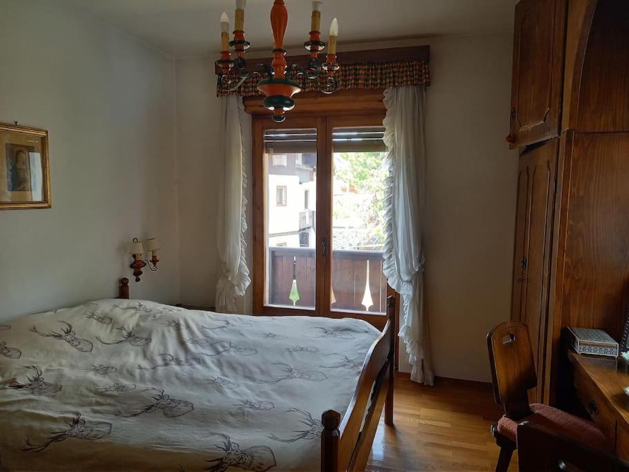 Appartamento a San Vito di Cadore view 5