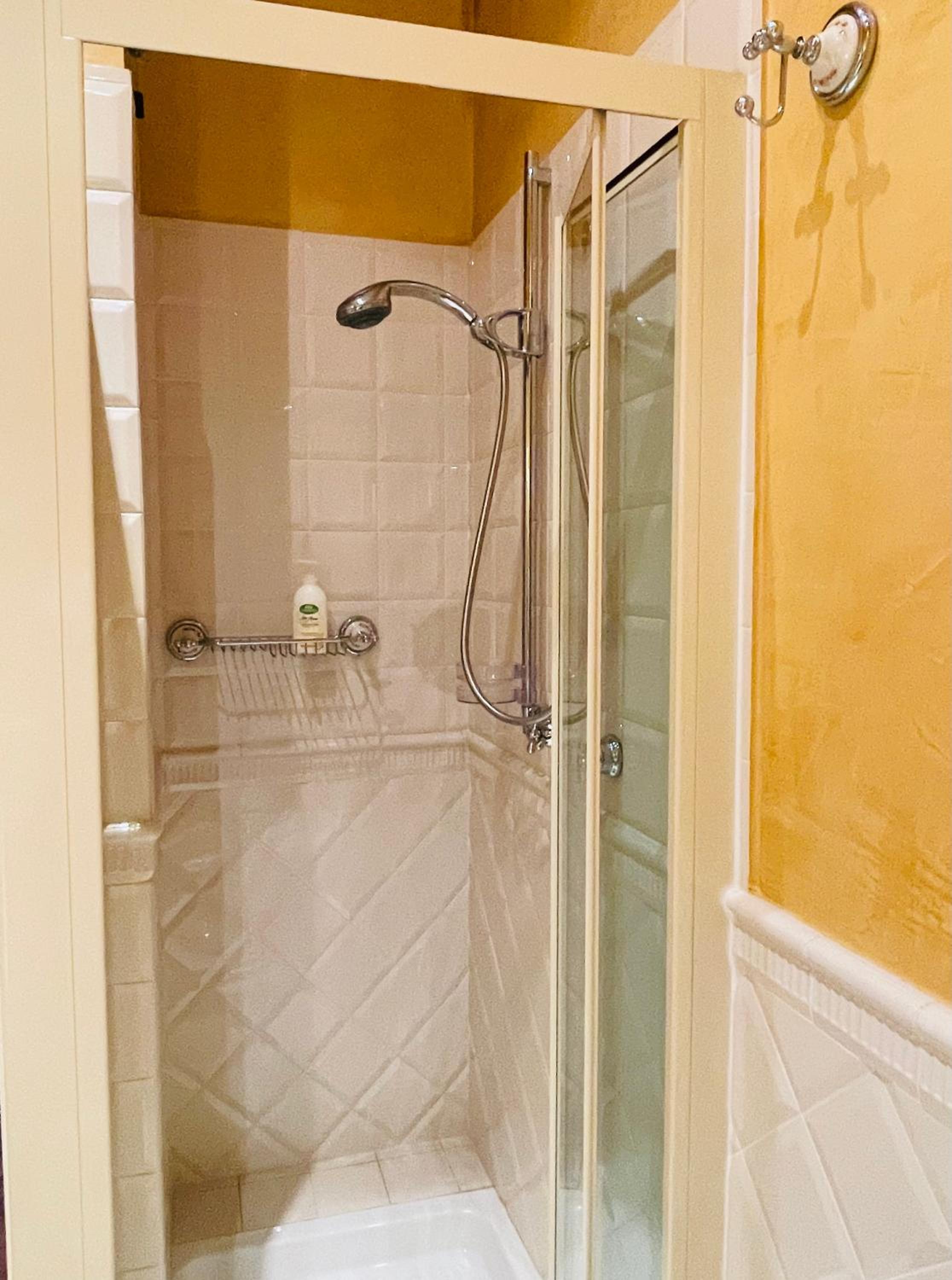 BELLE ILE LAKE VIEW SUITE view 4