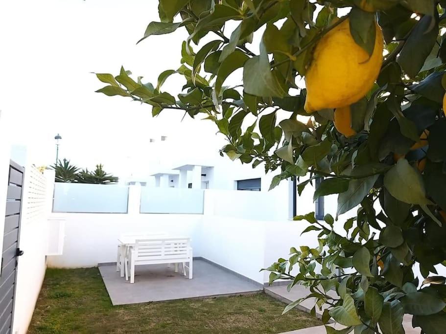 Villa Exótica