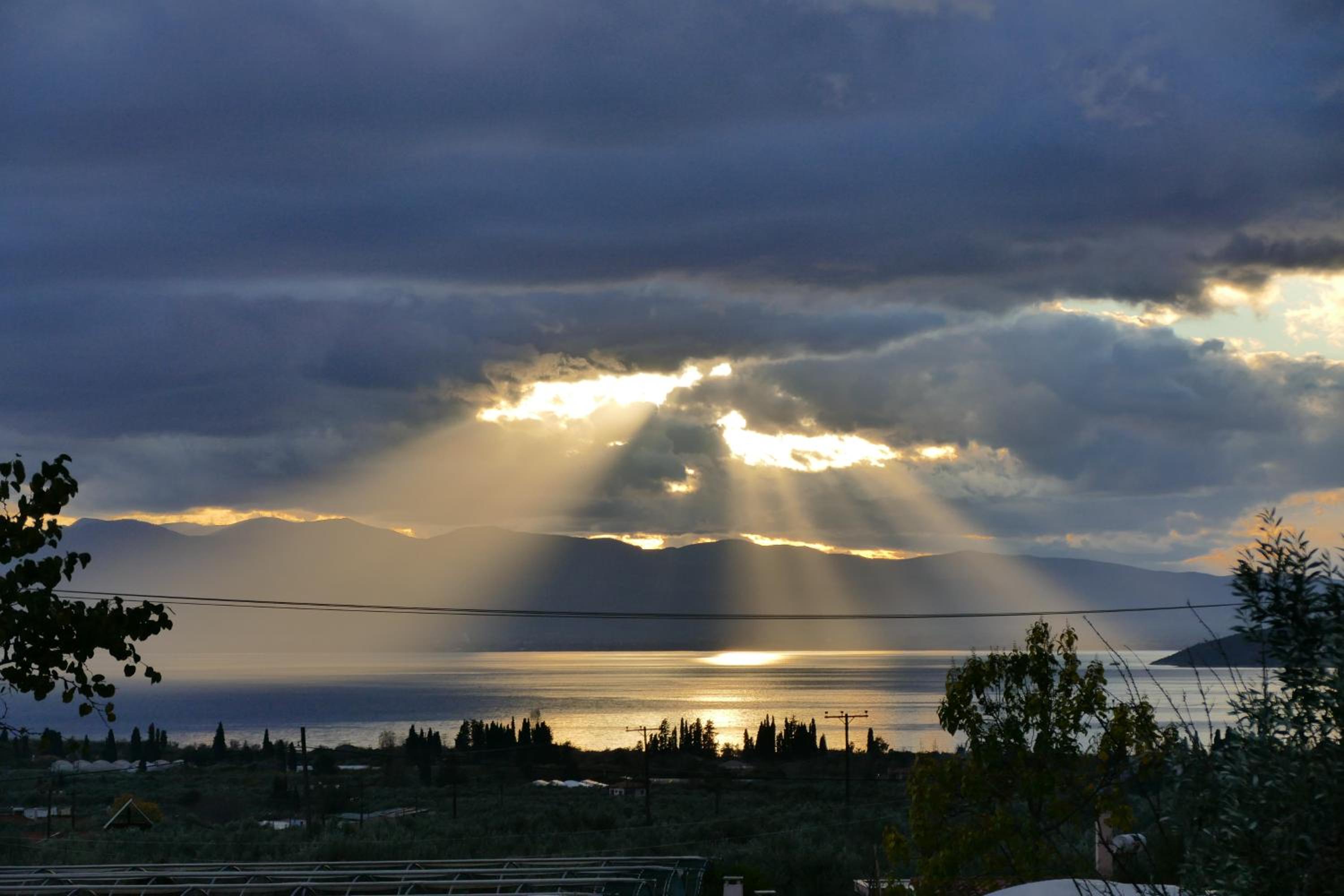 Photo 44
