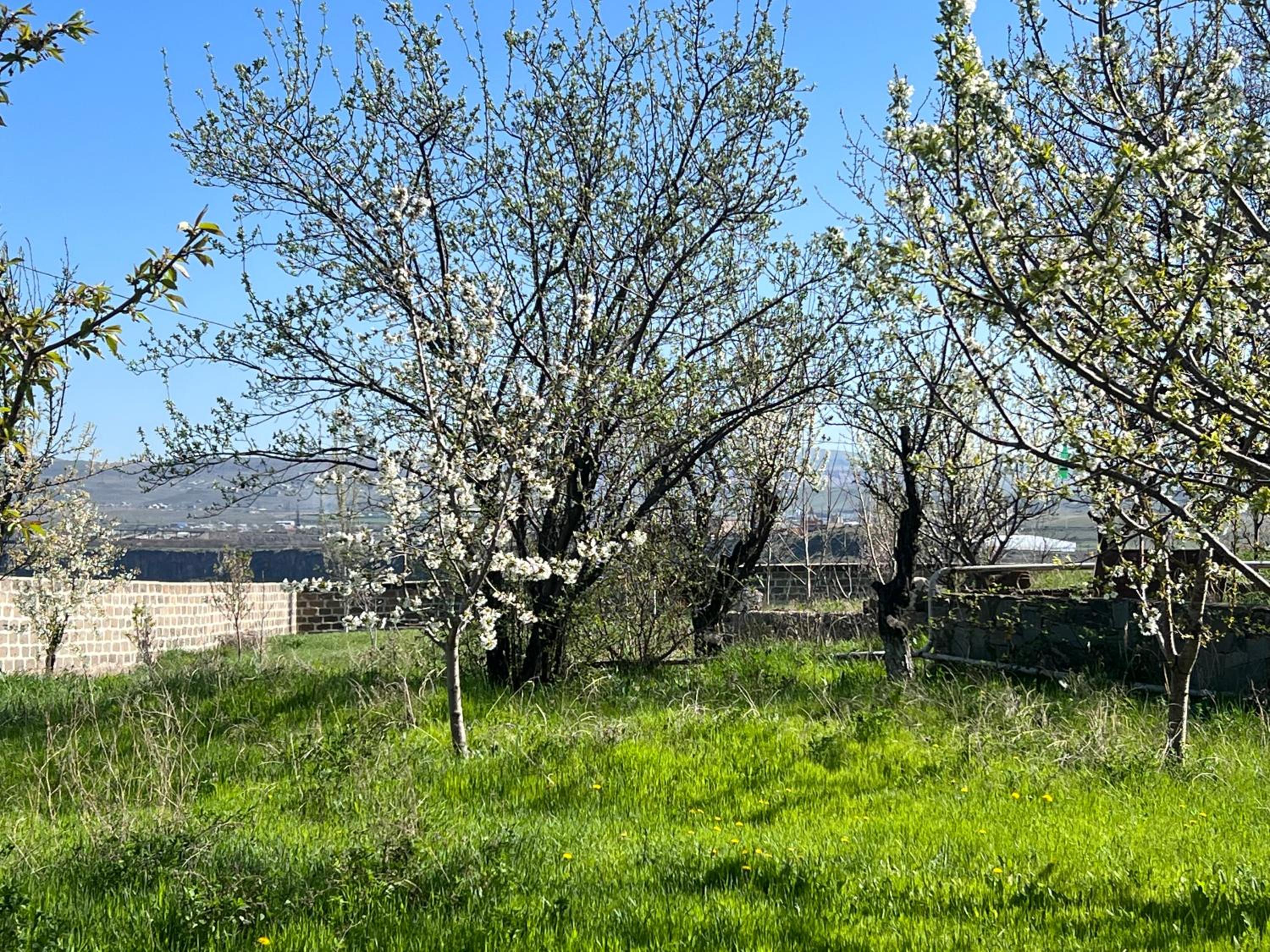 Immanuel Villa