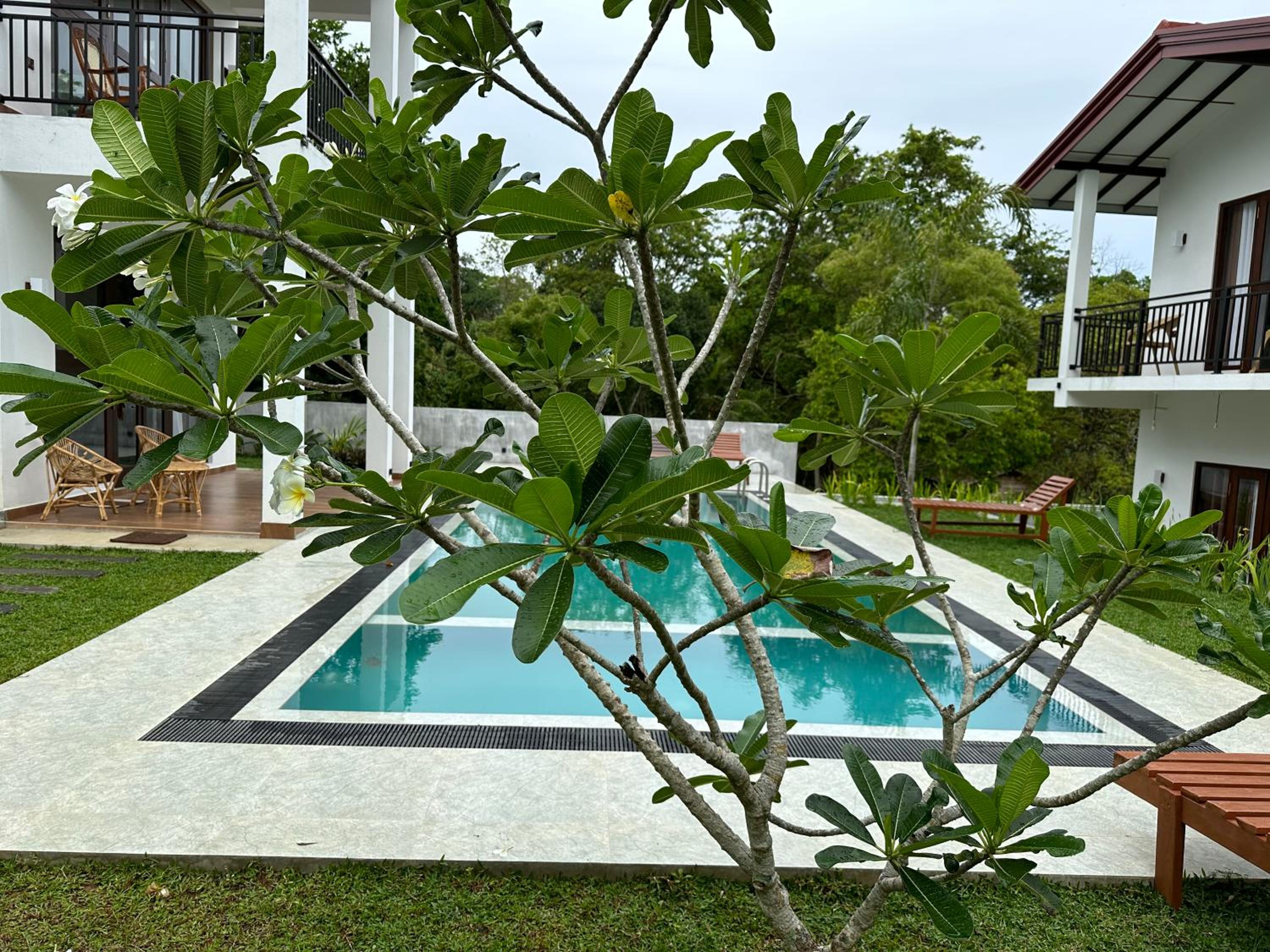 Finch Tangalle