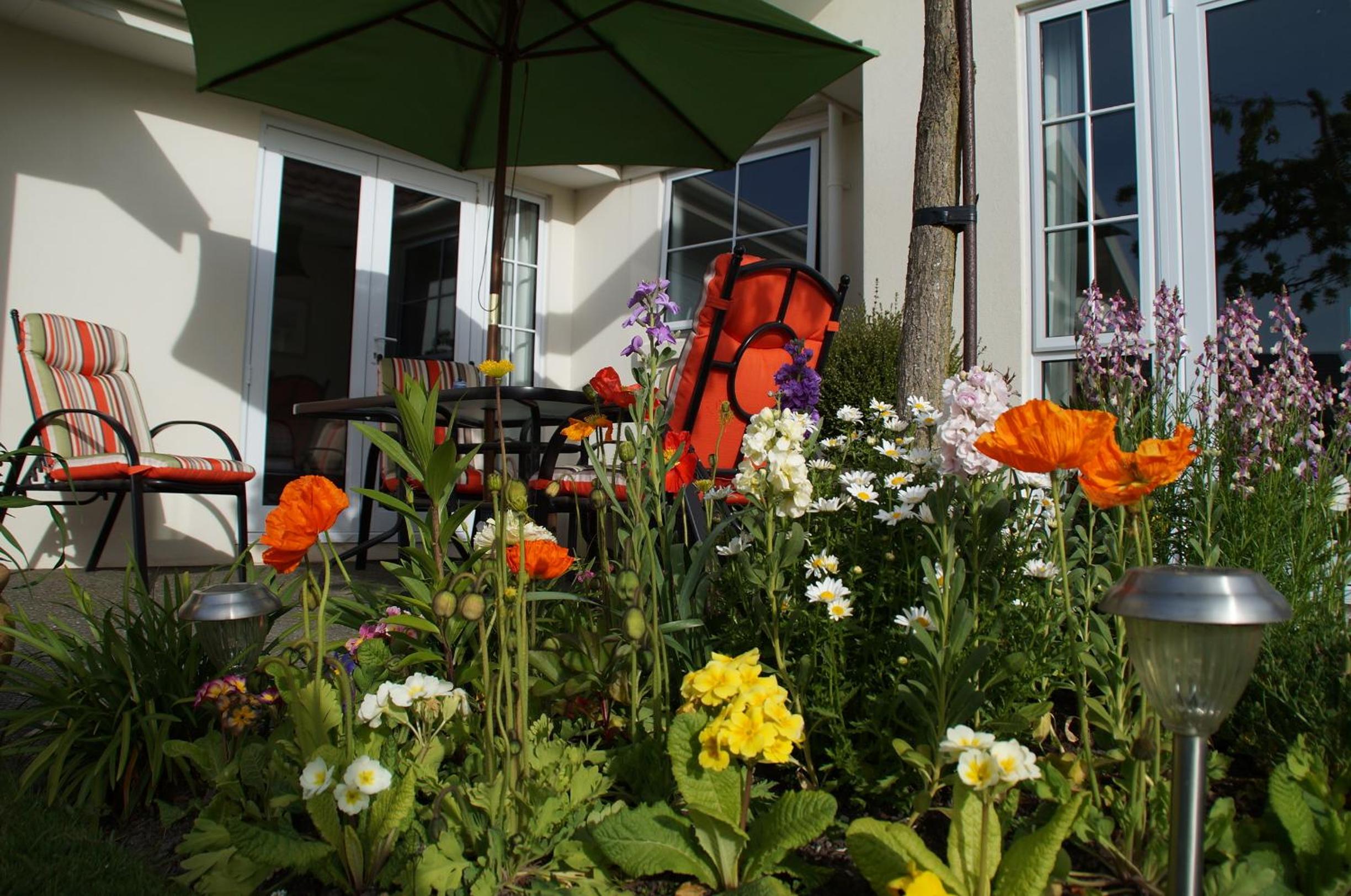 Olive House Bed and Breakfast