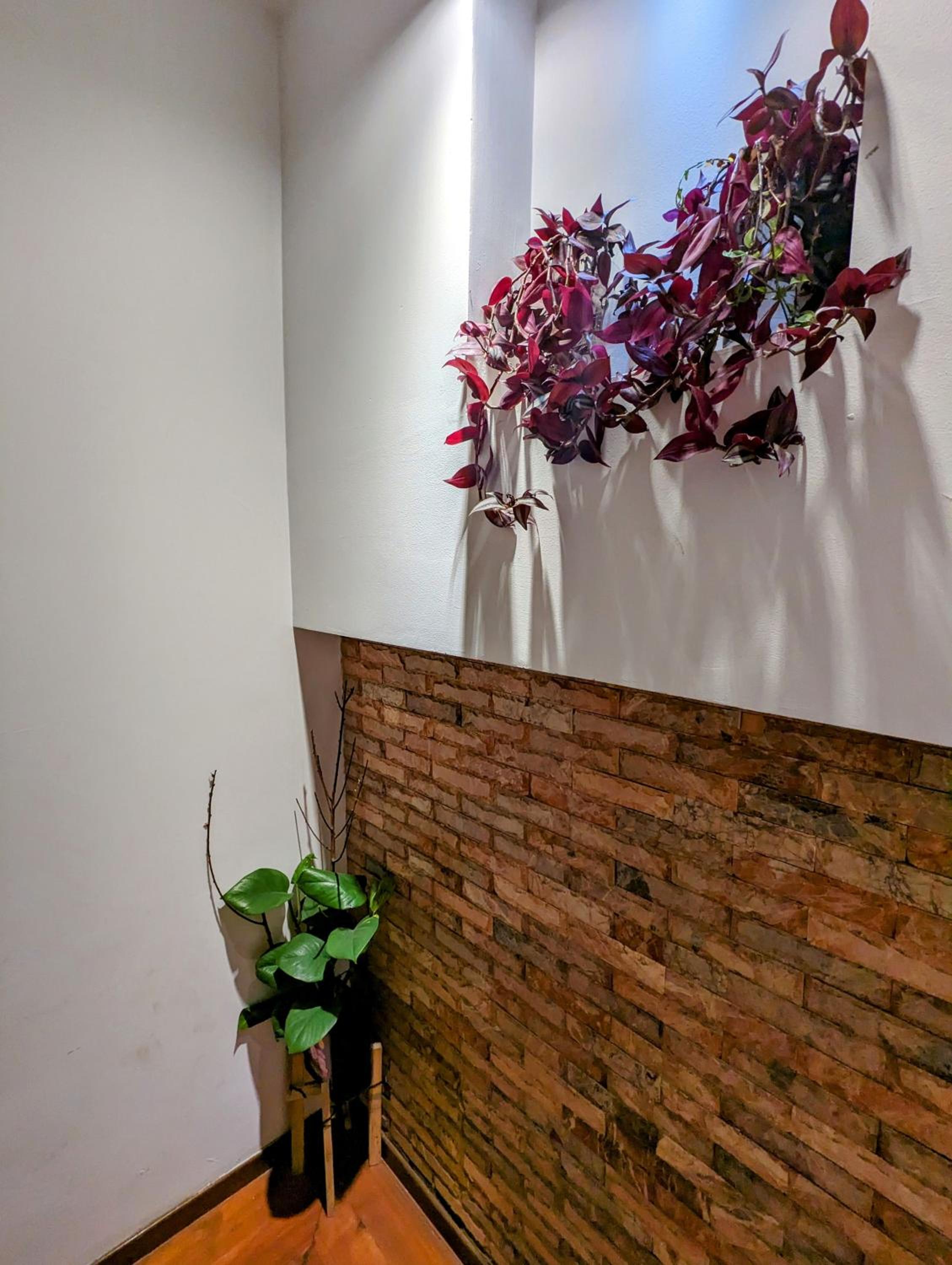 Photo 26
