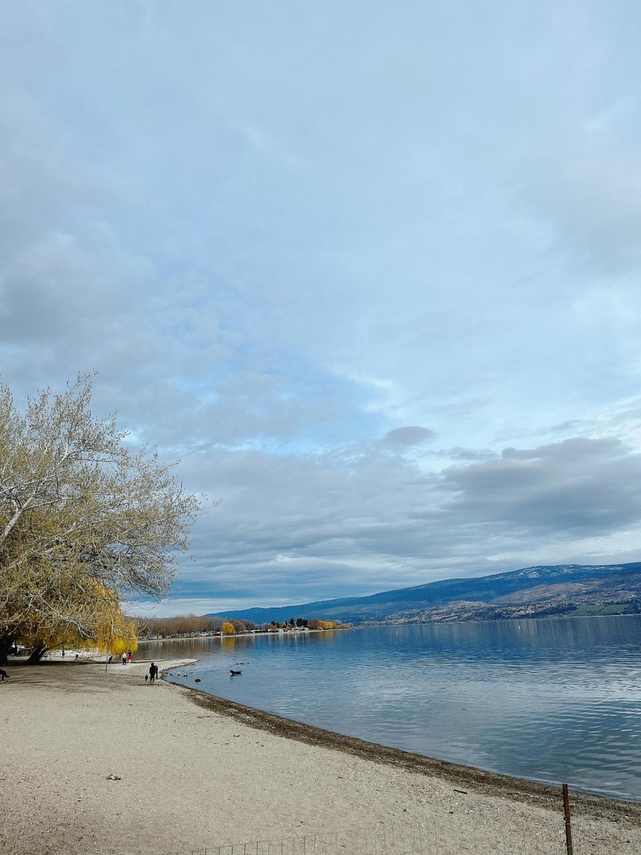 Peaceful and Spacious Lake View