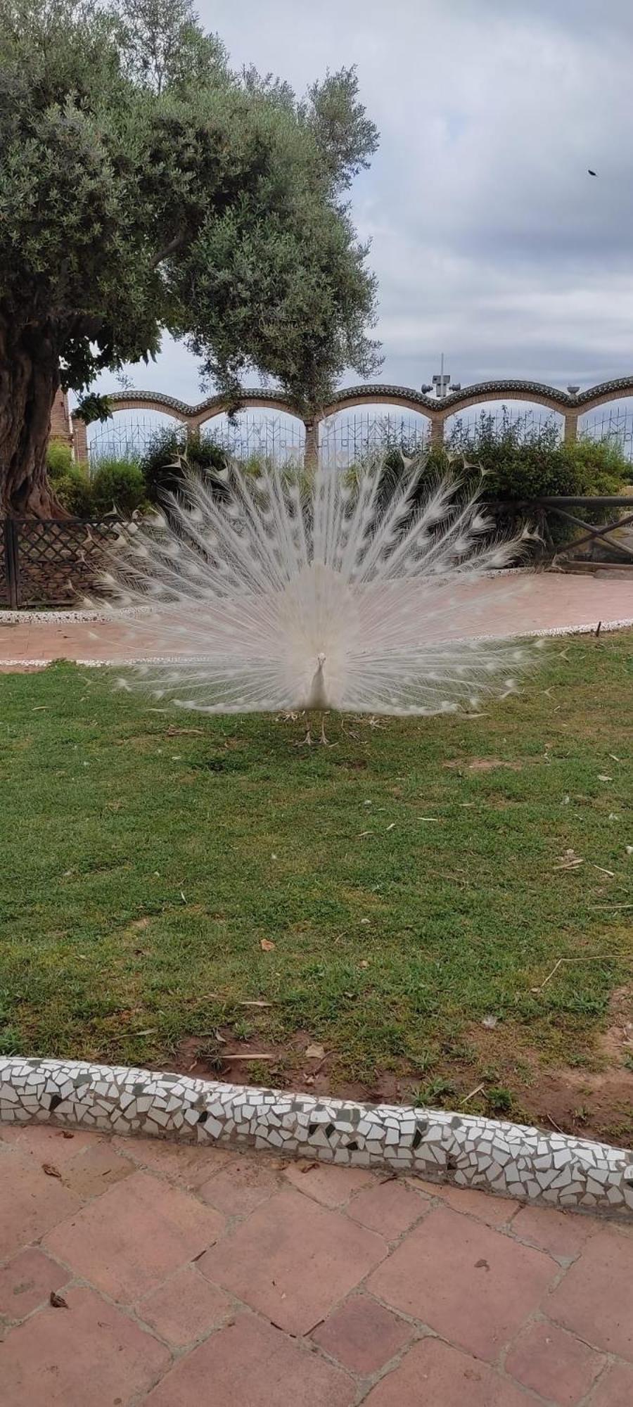 Apartamento Costa Marina 3