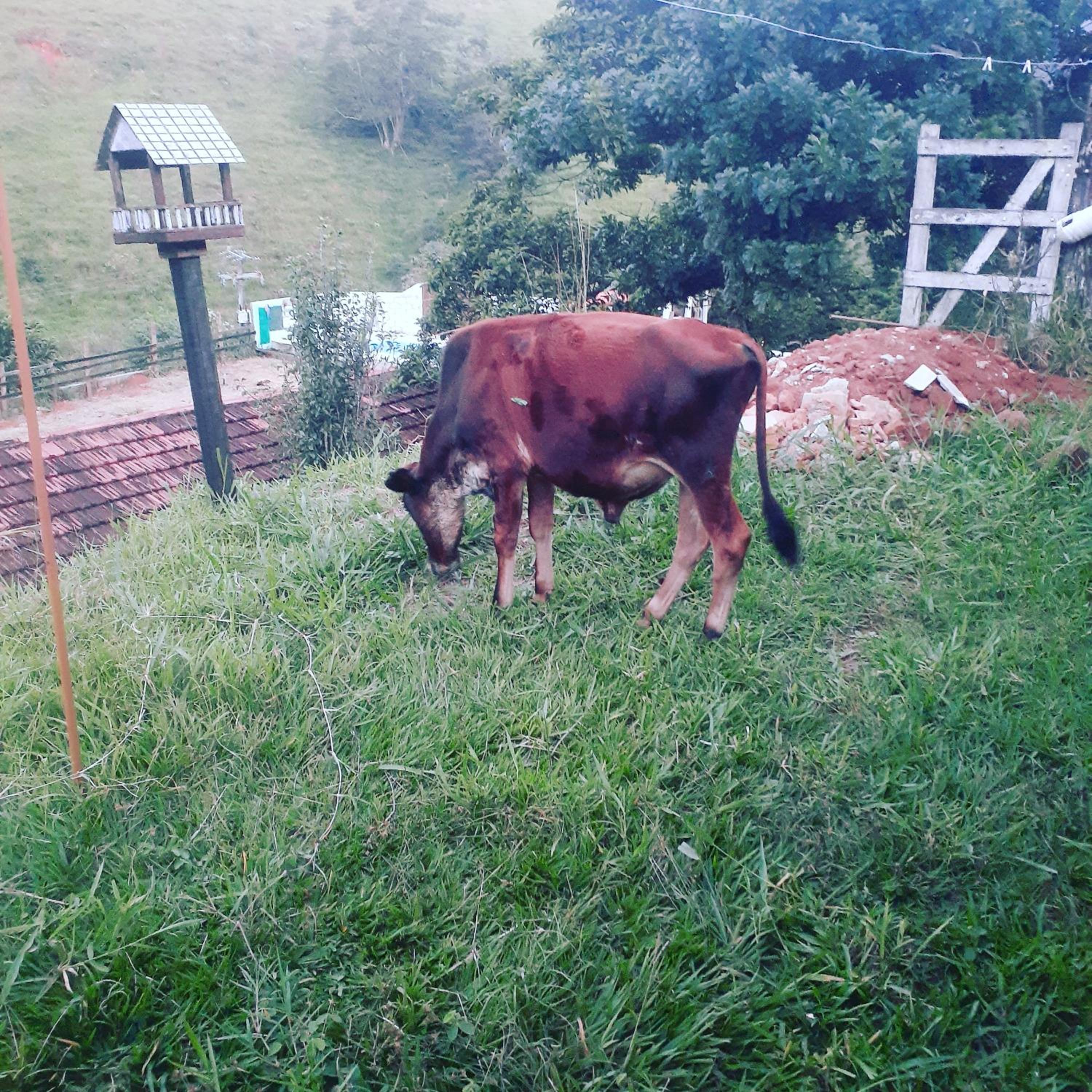 Fazenda Águas Claras