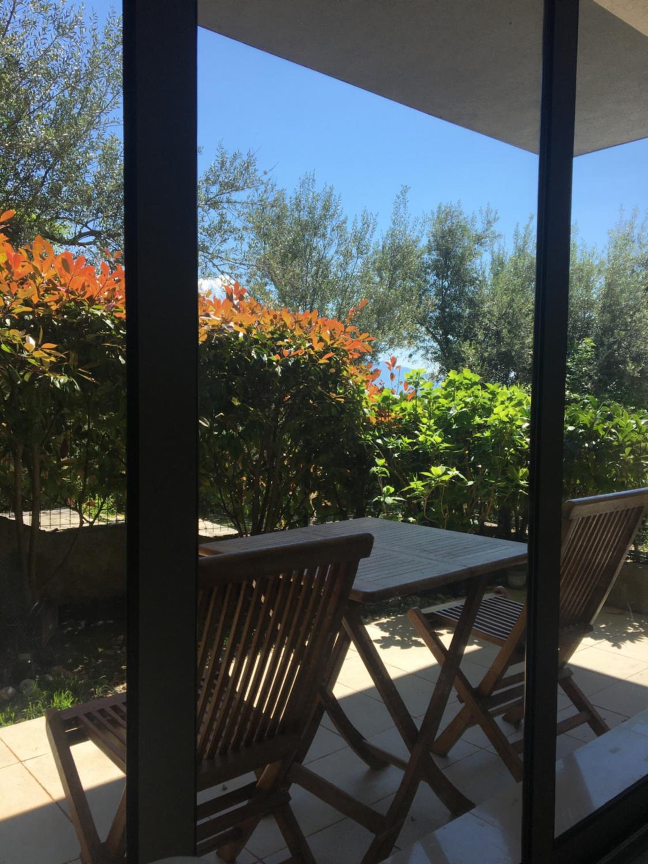 Acacia Hill olive tree apartment view 5