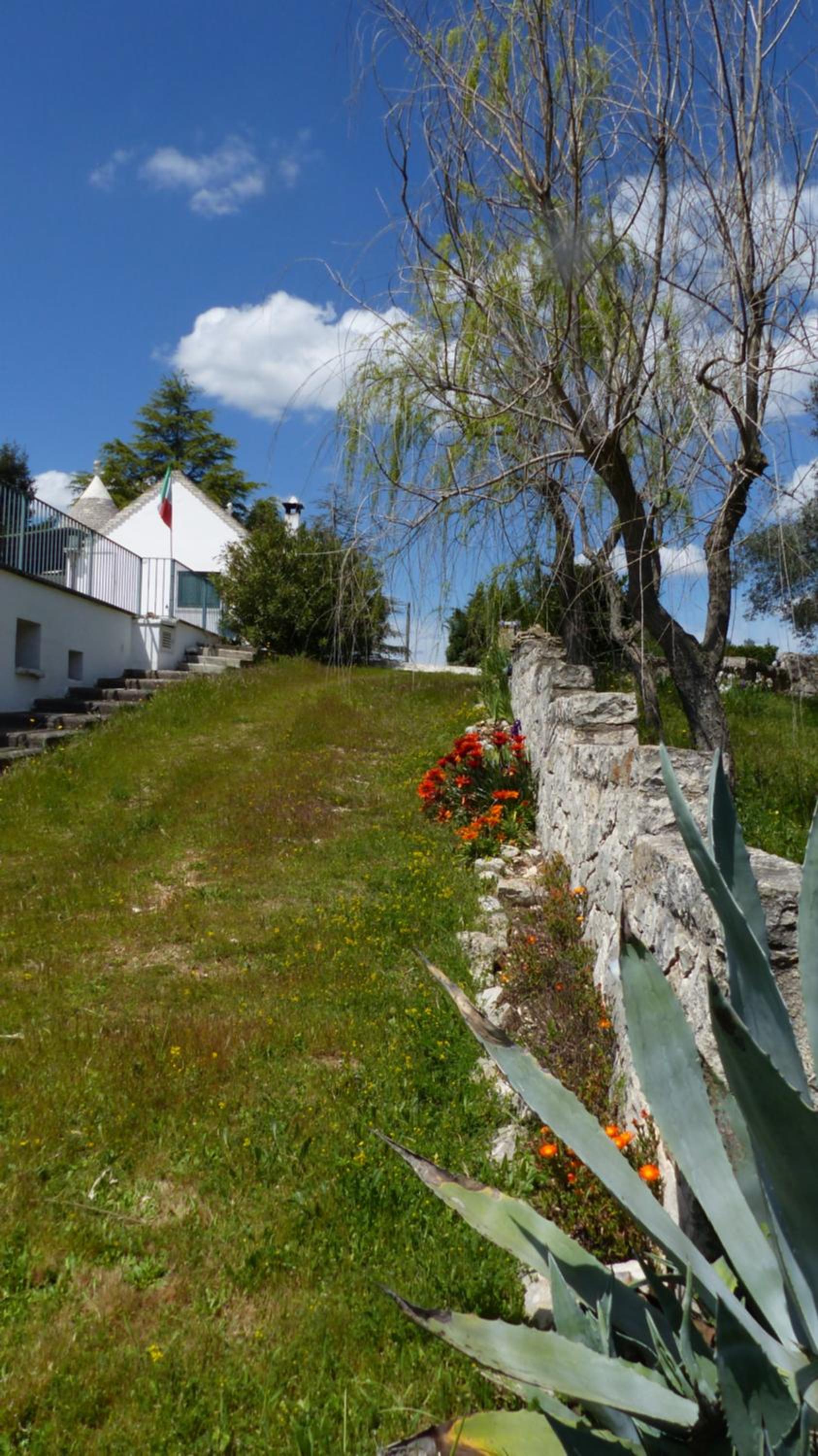 Photo 27