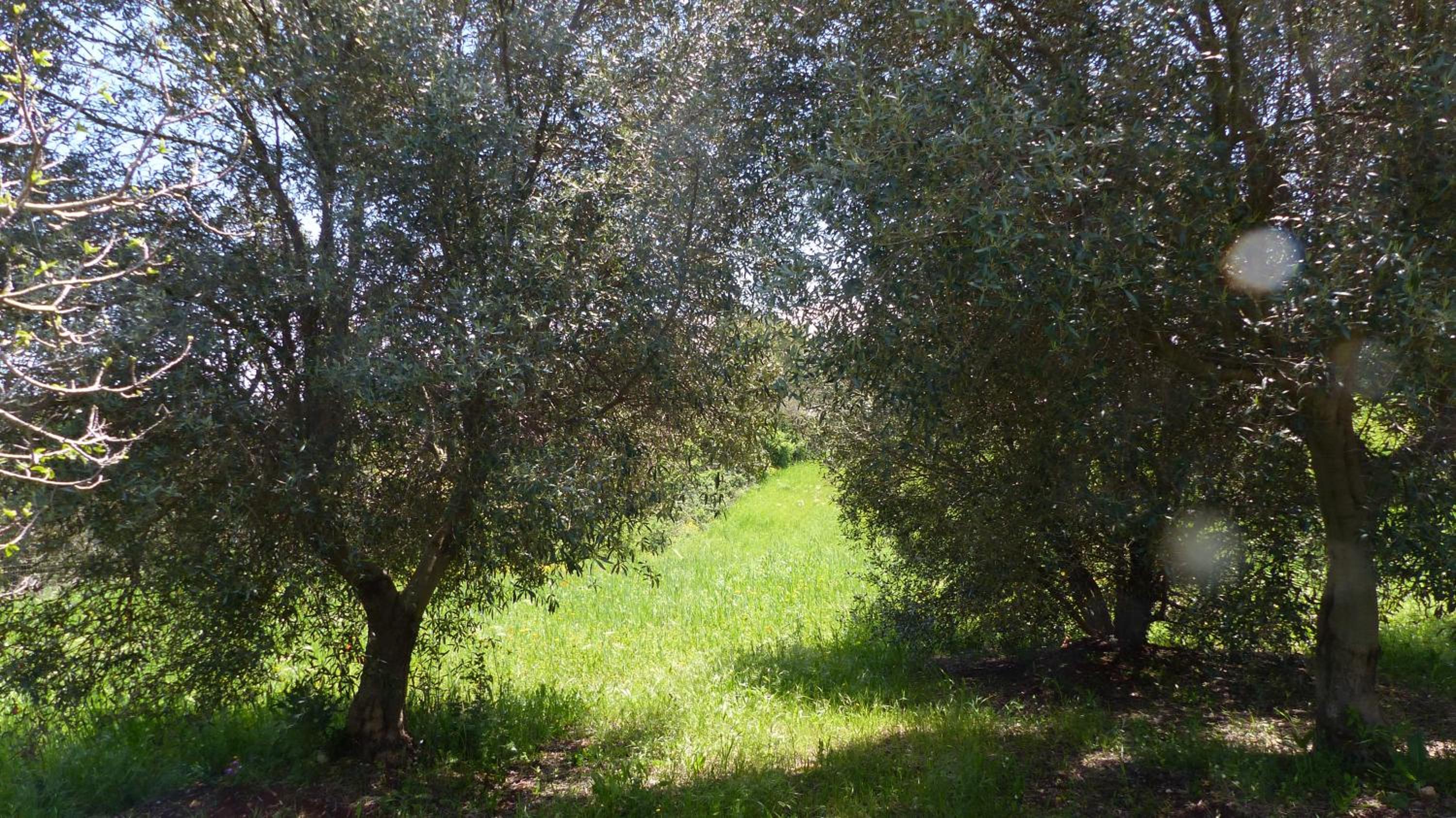 Photo 28