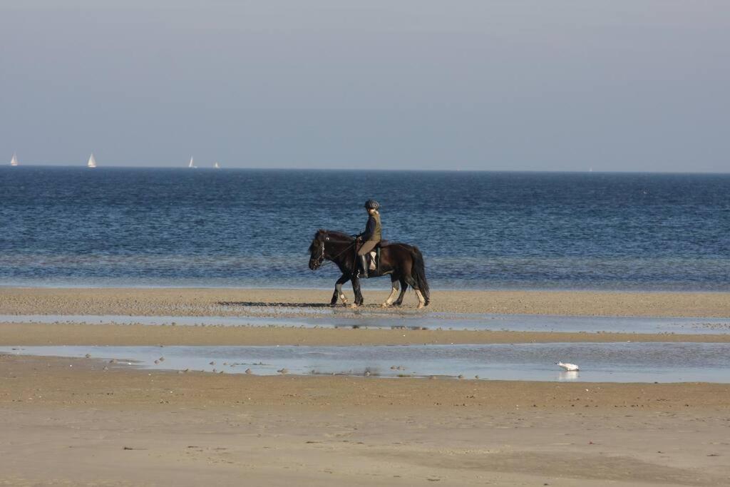Ferienbungalow Buhne mit Kamin in Boltenhagen