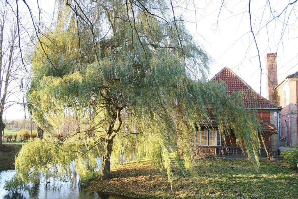 Ferienbungalow Buhne mit Kamin in Boltenhagen