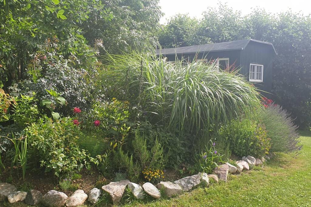 Ferienbungalow Buhne mit Kamin in Boltenhagen