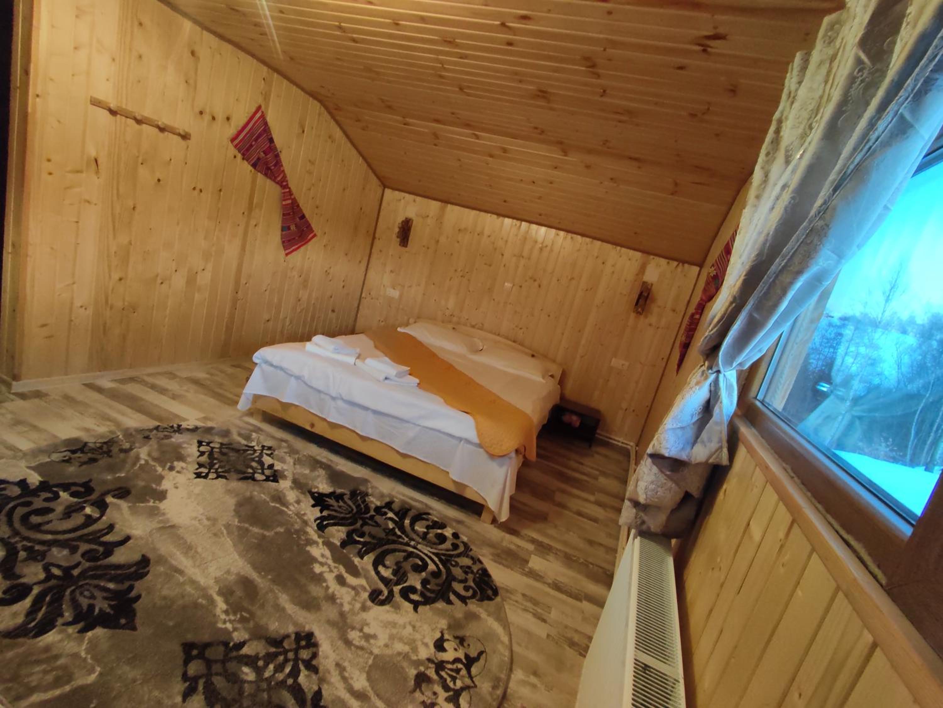 Cabana doi mesteceni