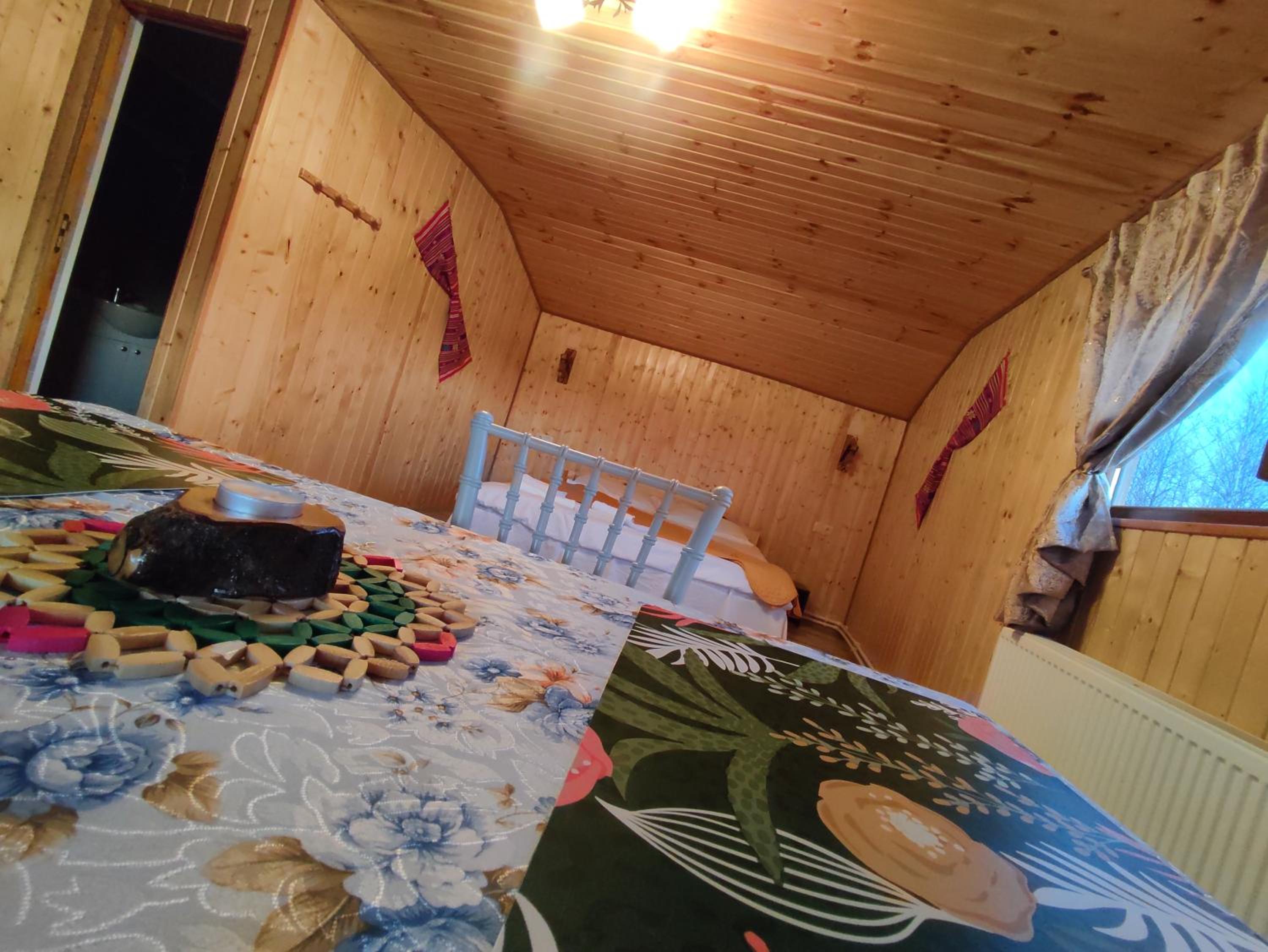 Cabana doi mesteceni