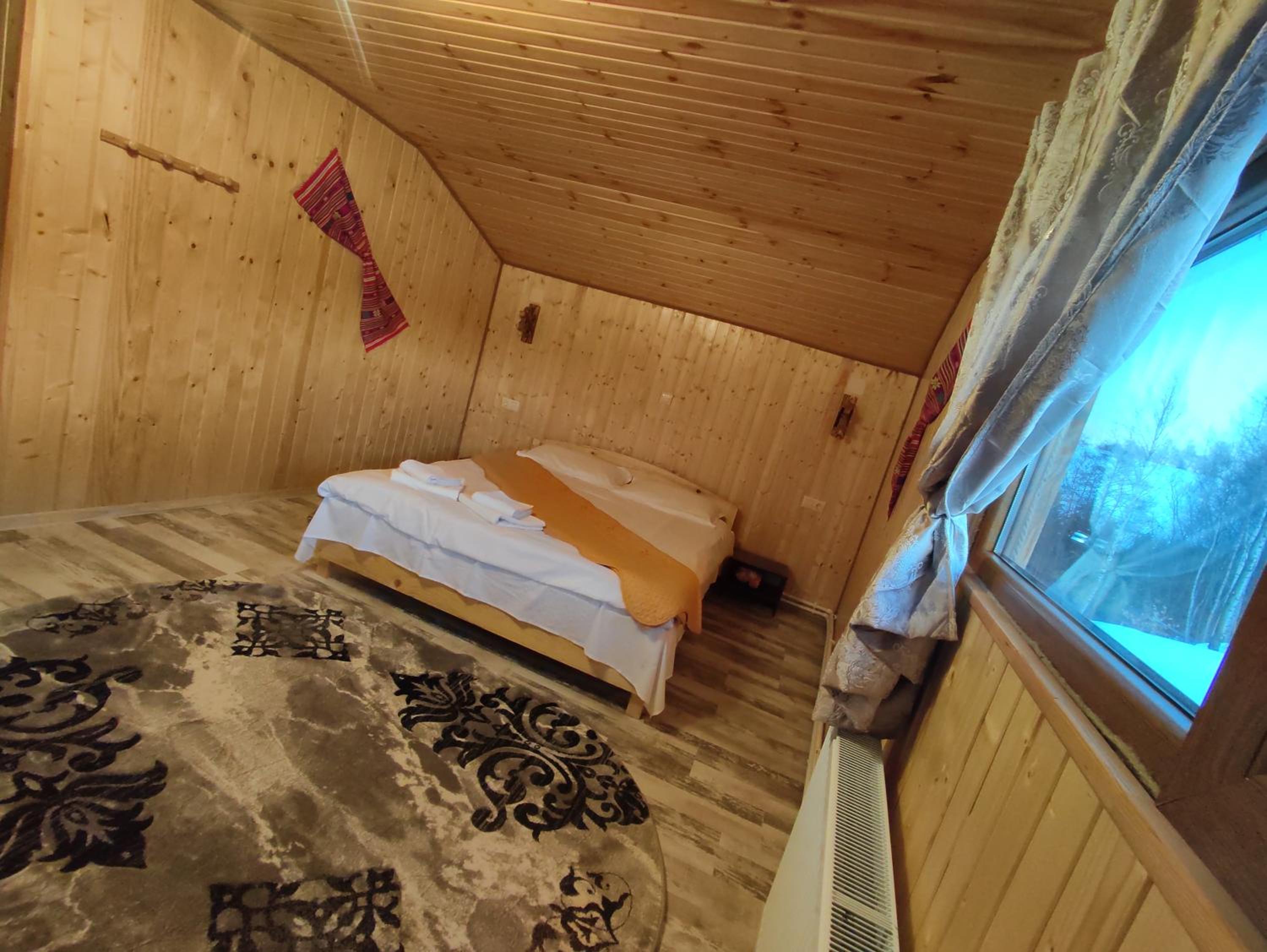 Cabana doi mesteceni