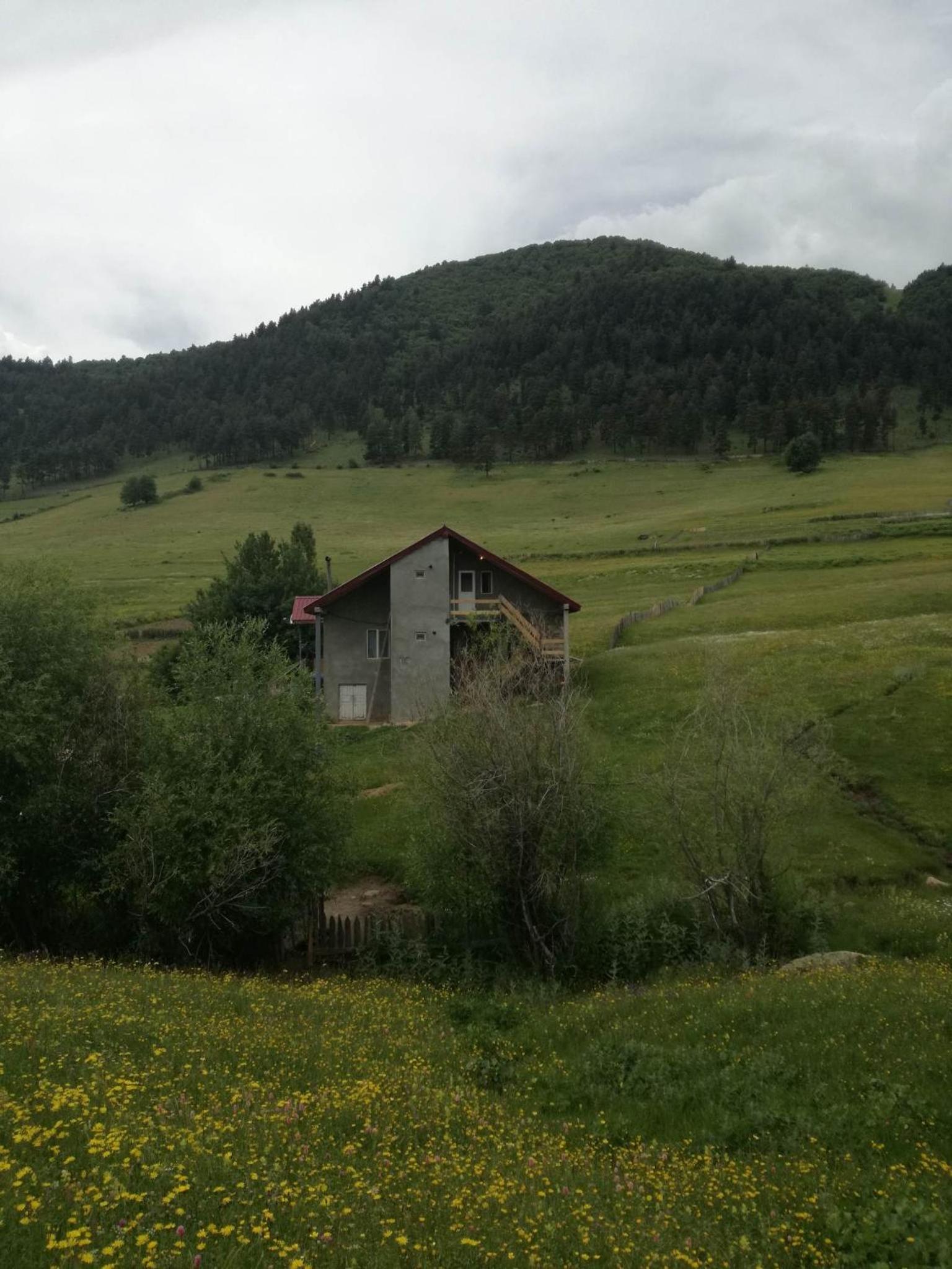 Photo 34