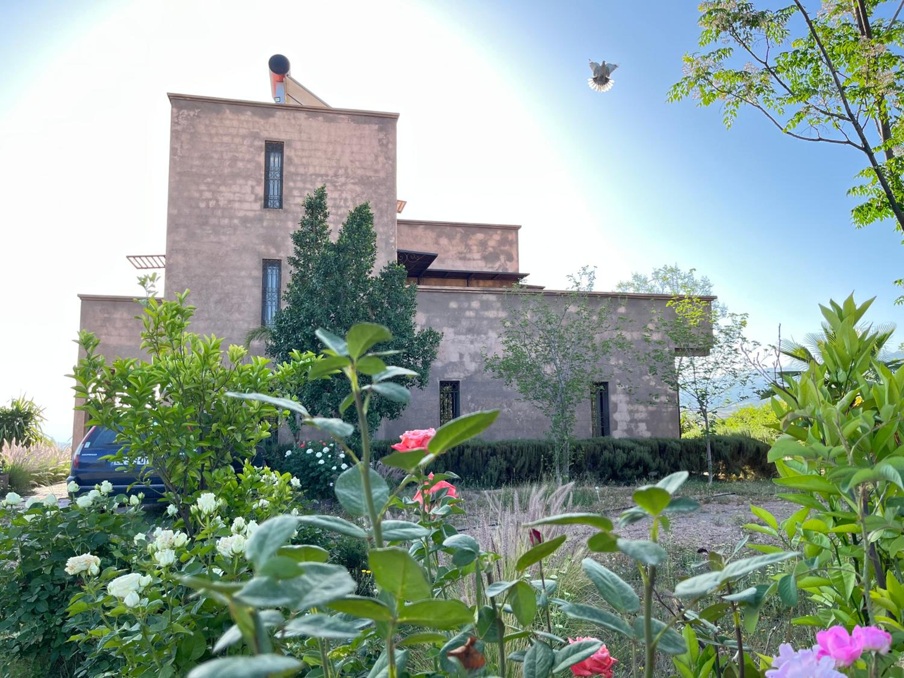 Photo 11
