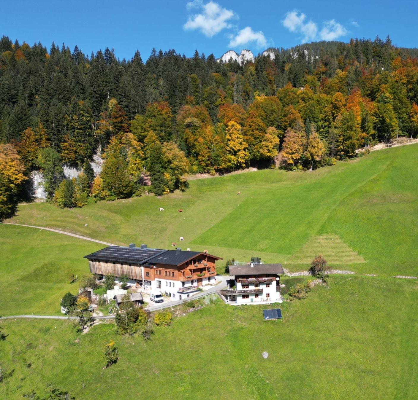 Biobauernhof Schneiderbauer