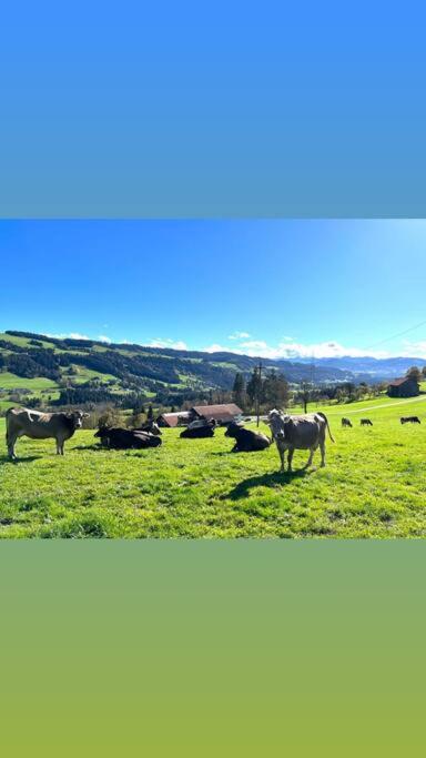 Allgäu Cottage - traumhafter Blick in die Schweizer Berge