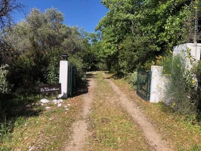 Kyparissia De Wandelboom view 2