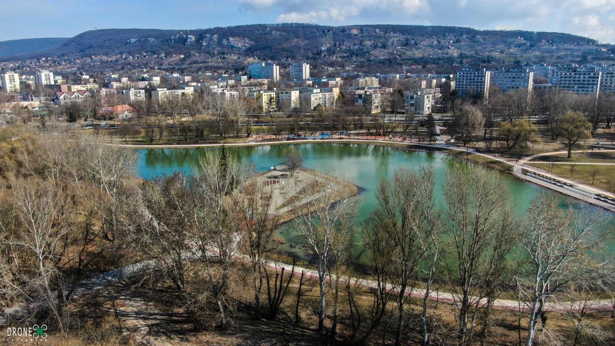 Millennium Apartman Tatabánya, photo 9