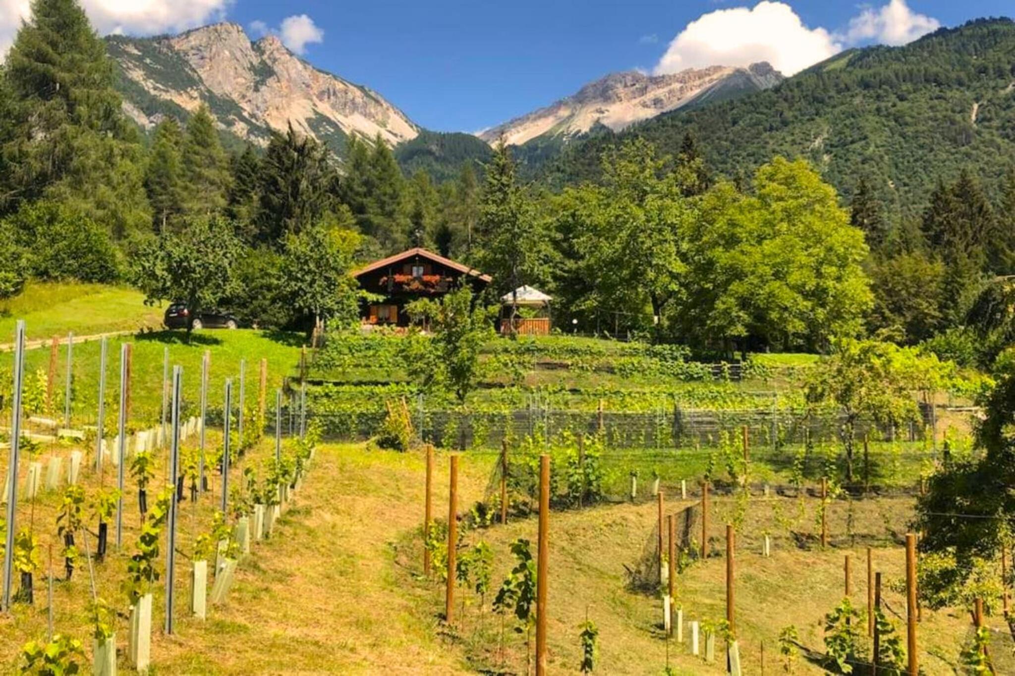 Chalet Relax Tra Le Vigne view 4