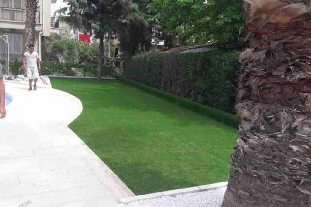 Photo 34